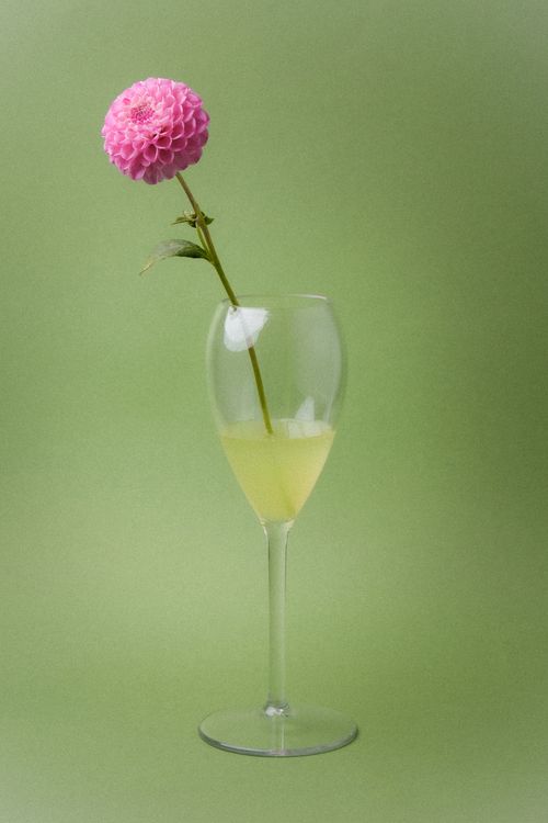 Clarity Champagne Glass with Flower