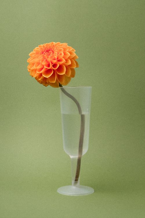 Simplicity Champagne Glass with Flower