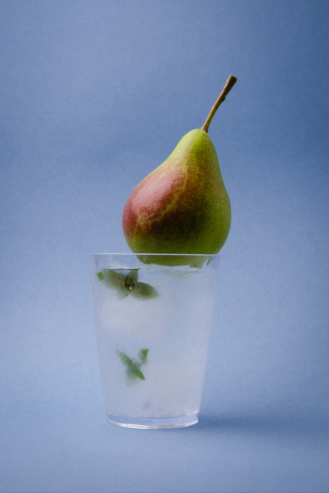 Hammered Water Glass with Pear