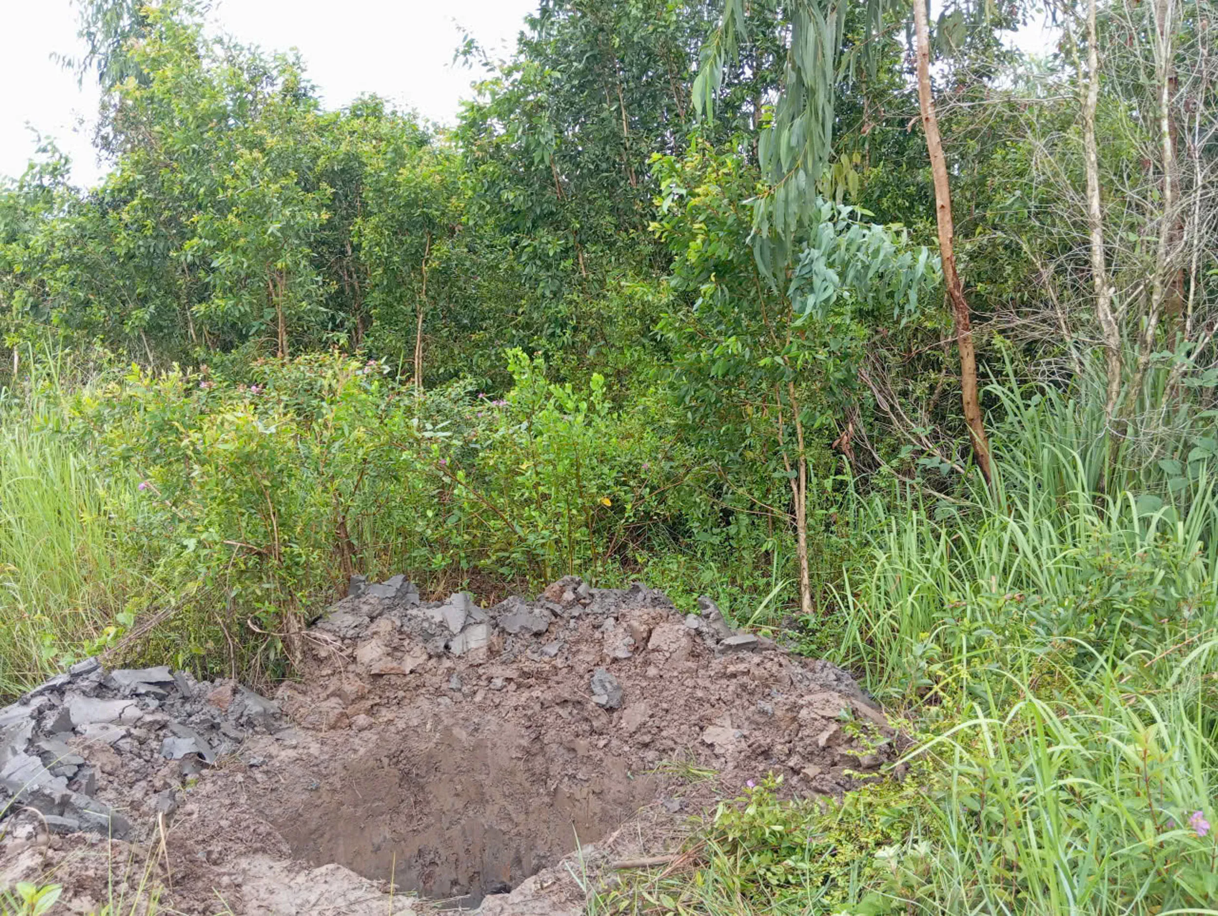 Field photograph at the Nhon Trach research site, Dong Nai Province, southern Vietnam