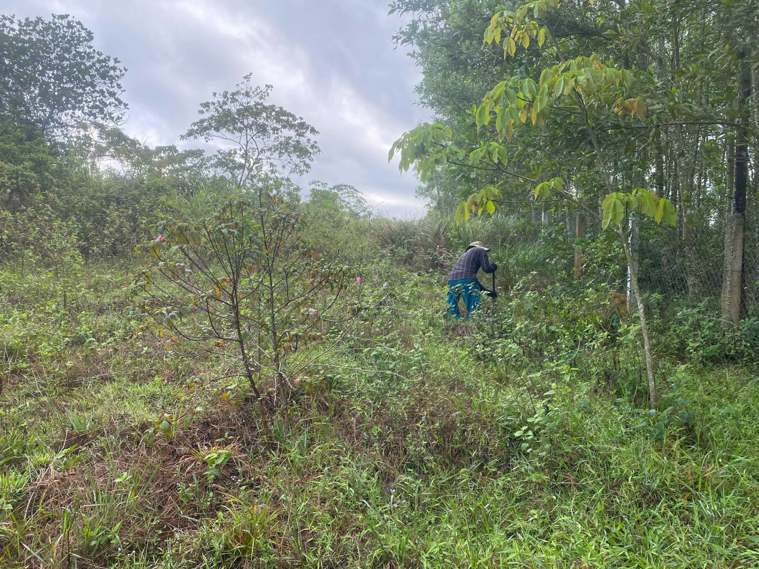 Field photograph at the Tuy Hoa research site, Phu Yen Province, central Vietnam