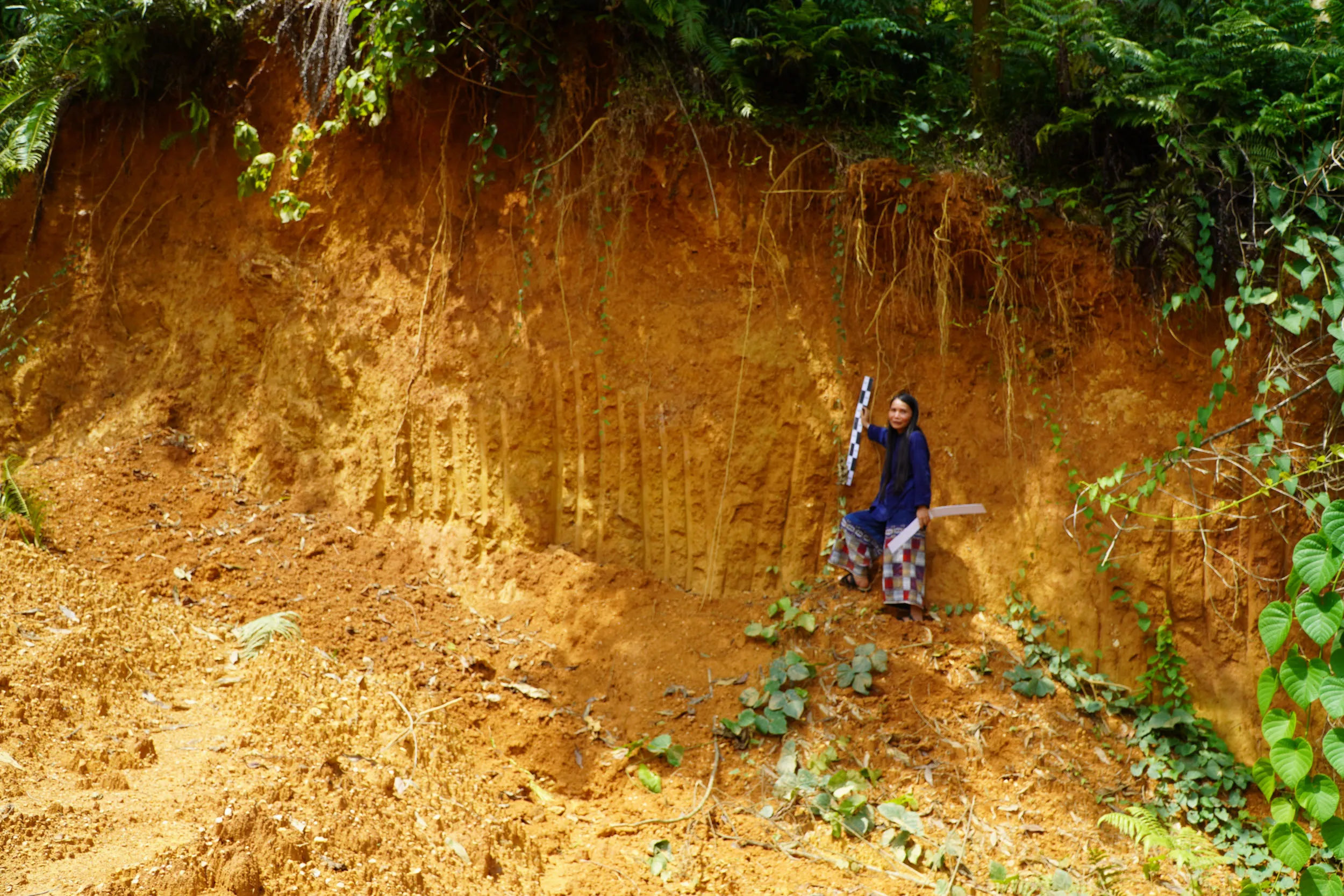 Ground-level field photograph at the Yen Son research site