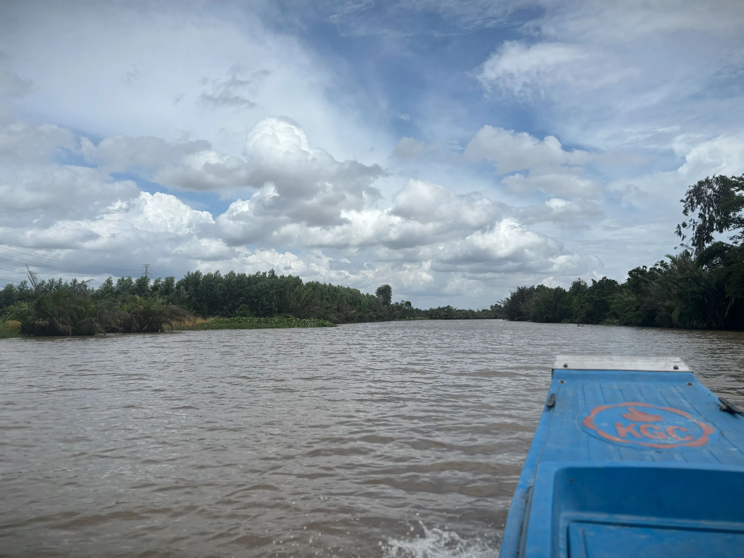 Field photograph at the Nhon Trach research site, Dong Nai Province