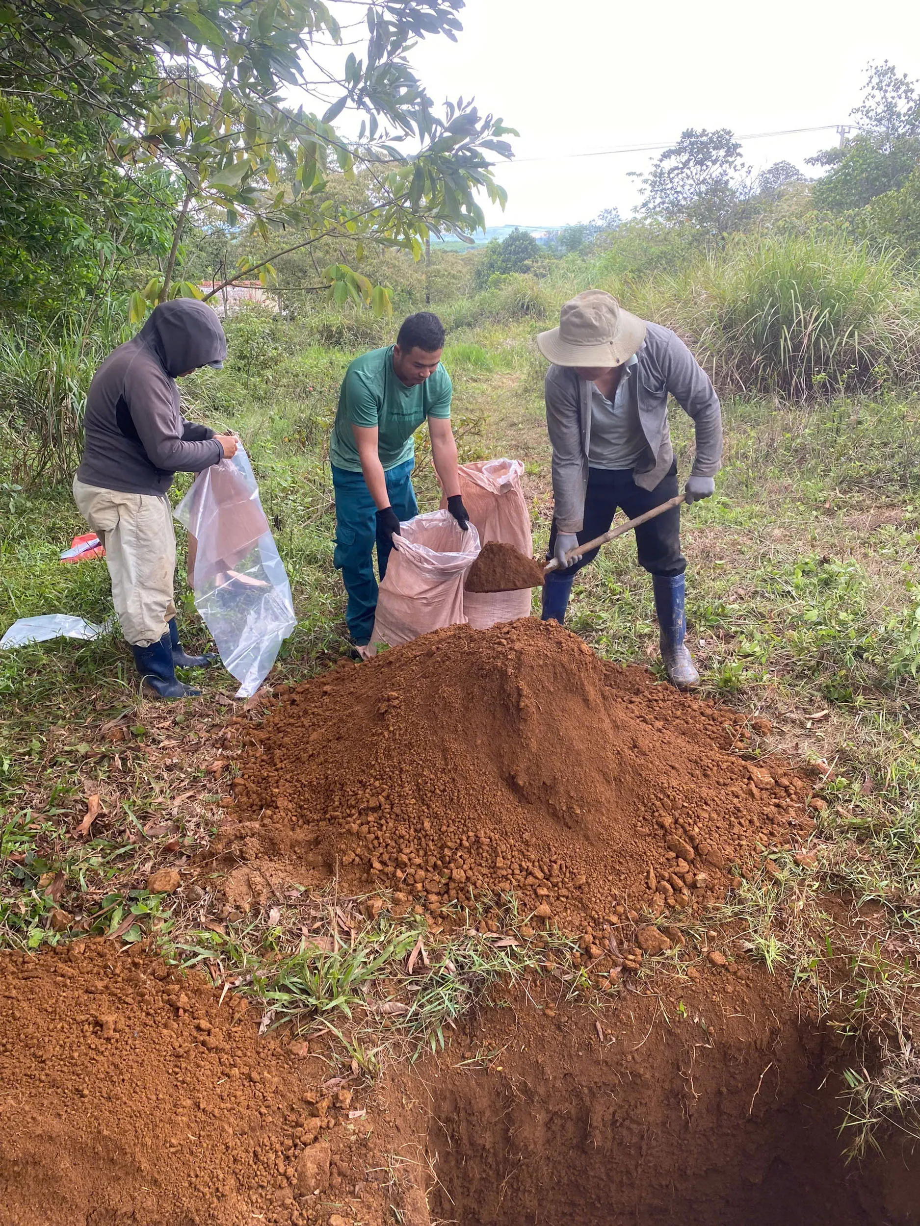 Field photograph at Tuy Hoa, Phu Yen Province, central Vietnam