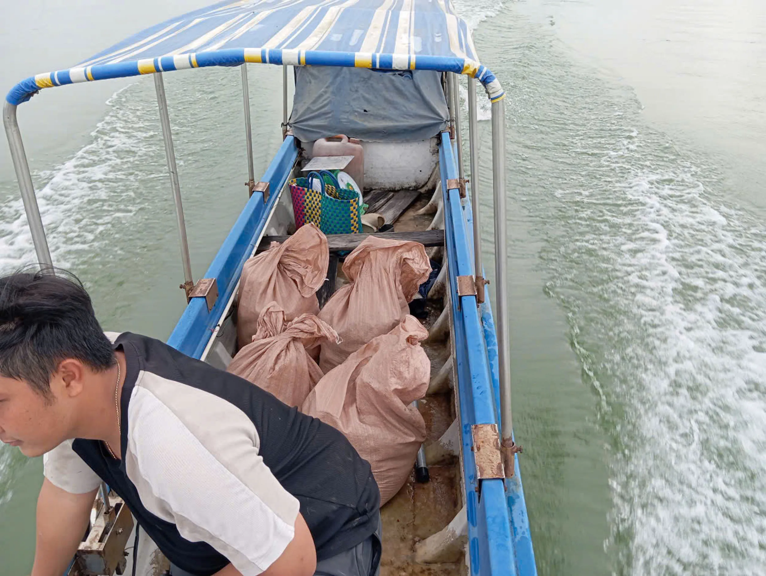 Field photograph at the Nhon Trach research location, Dong Nai Province
