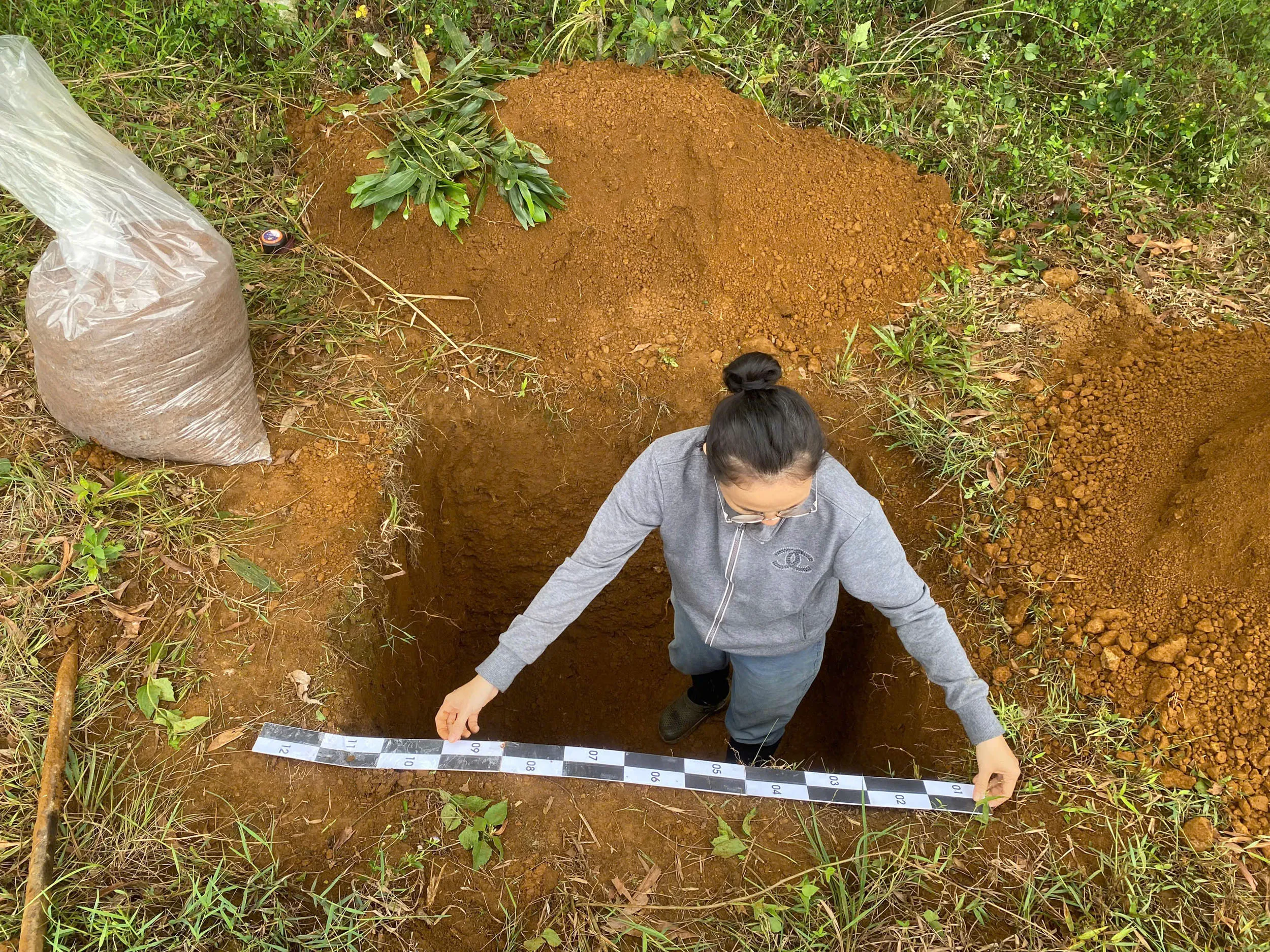 Site photograph at the Tuy Hoa research site, Vietnam