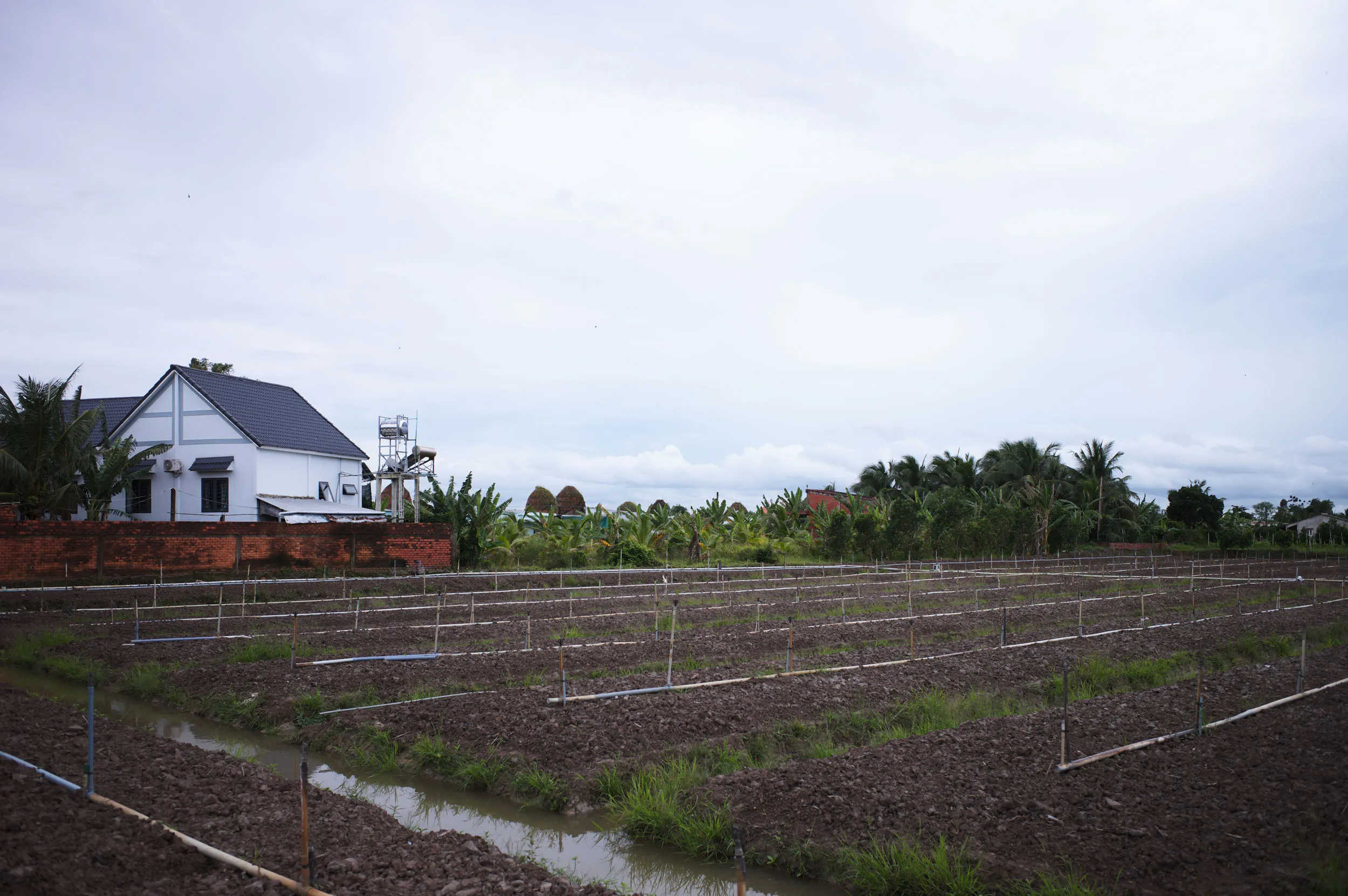 Field documentation at Mang Thit, Mekong Delta, southern Vietnam