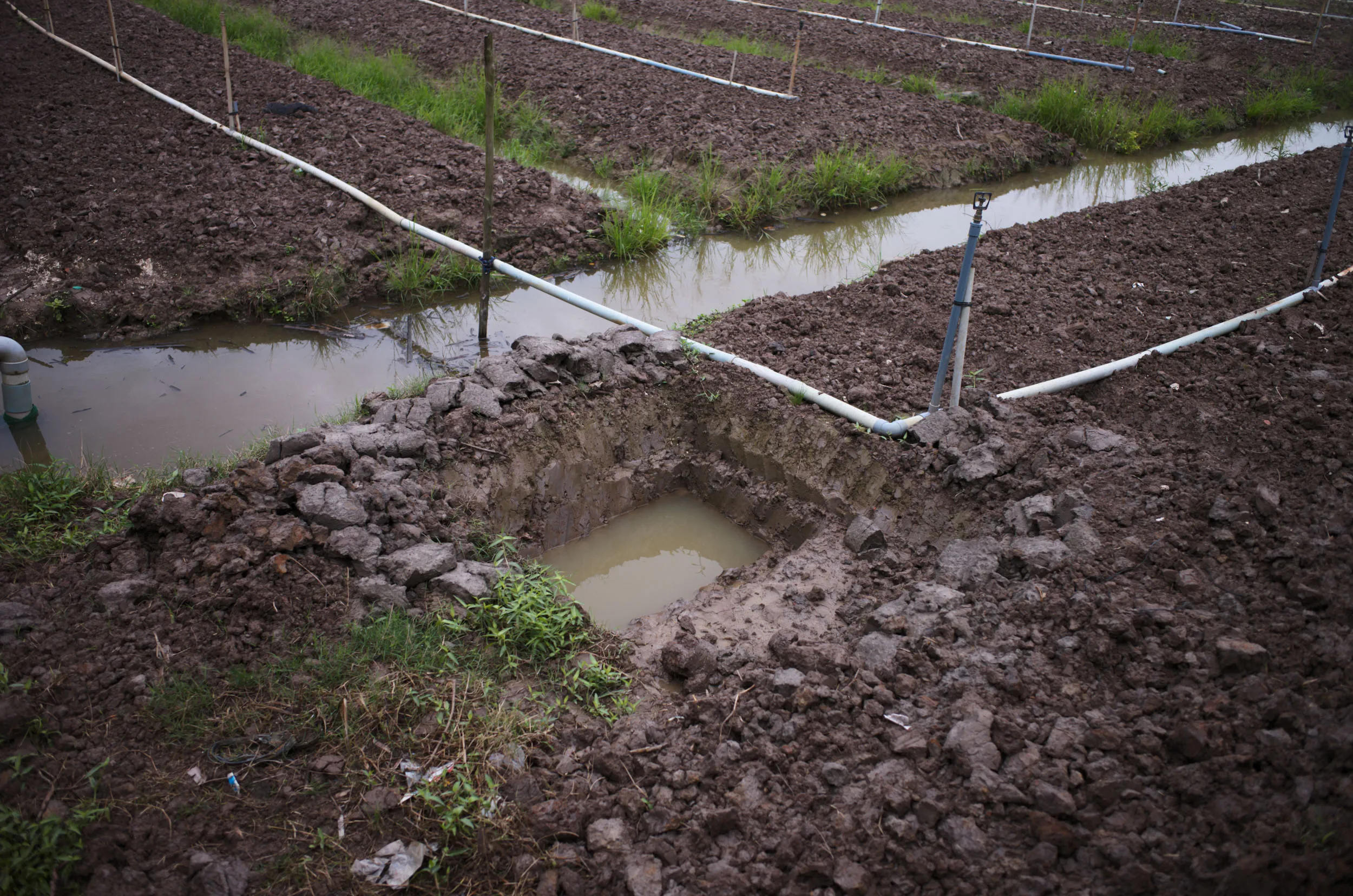 Field photograph at the Mang Thit research site, Vinh Long Province