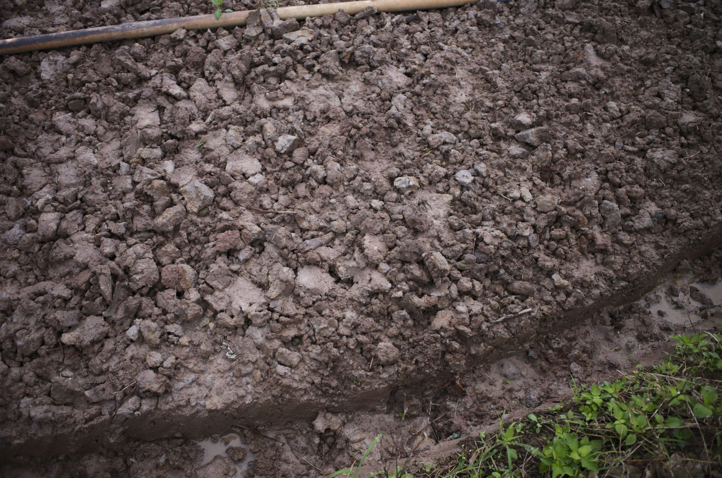 Site photograph at the Mang Thit research location, Vinh Long Province