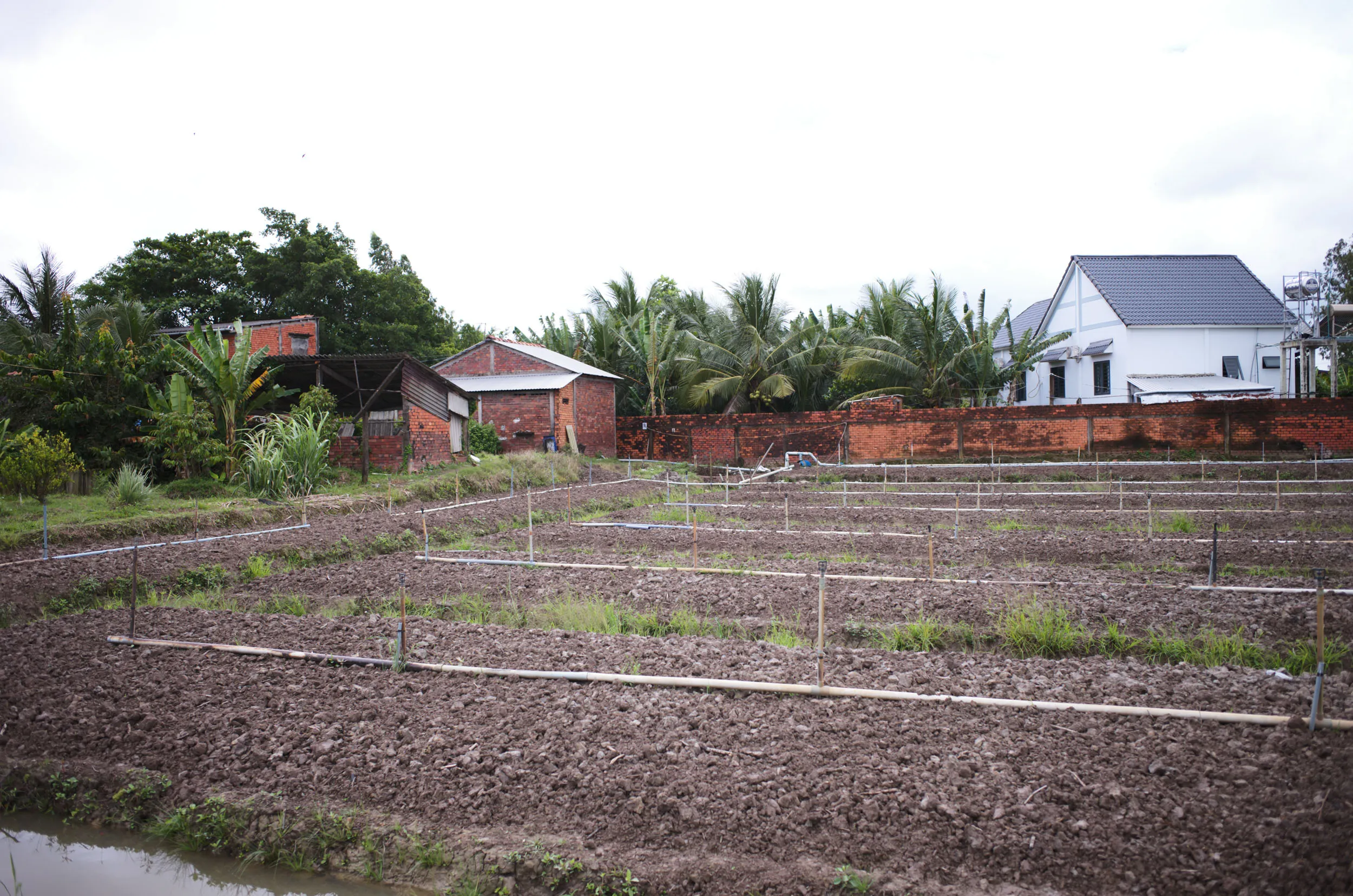 Field documentation photograph at Mang Thit, Vinh Long Province