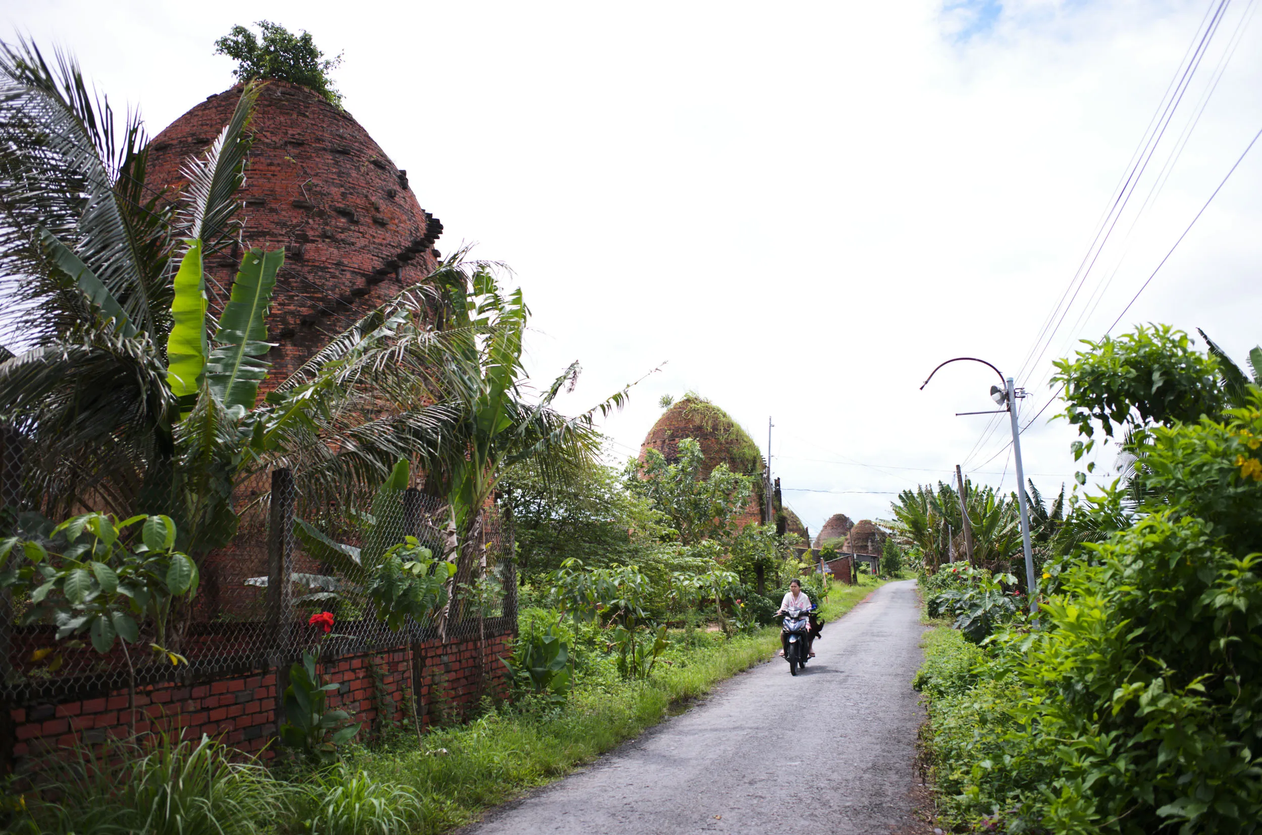 Landscape photograph at the Mang Thit site, Mekong Delta