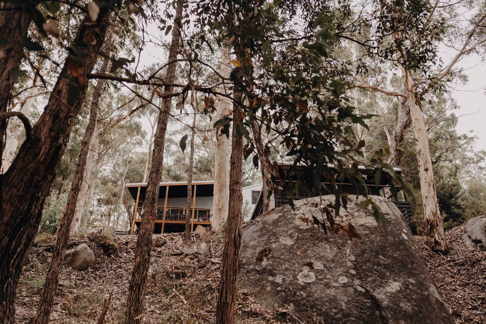 Granite boulder on a sloping bush block below an elevated home