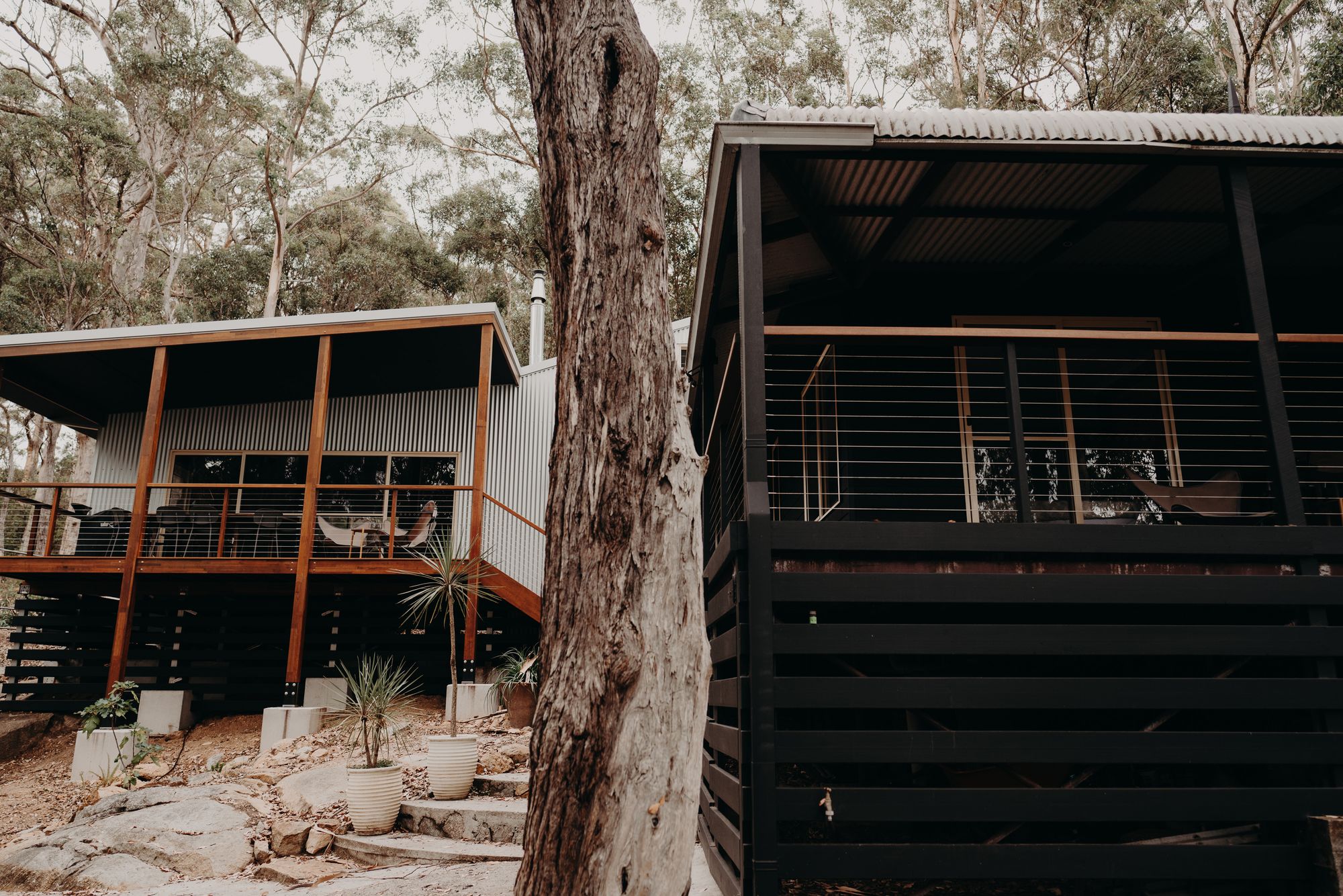 Home built around a retained karri trunk, with a pavilion on timber posts beside the original wing