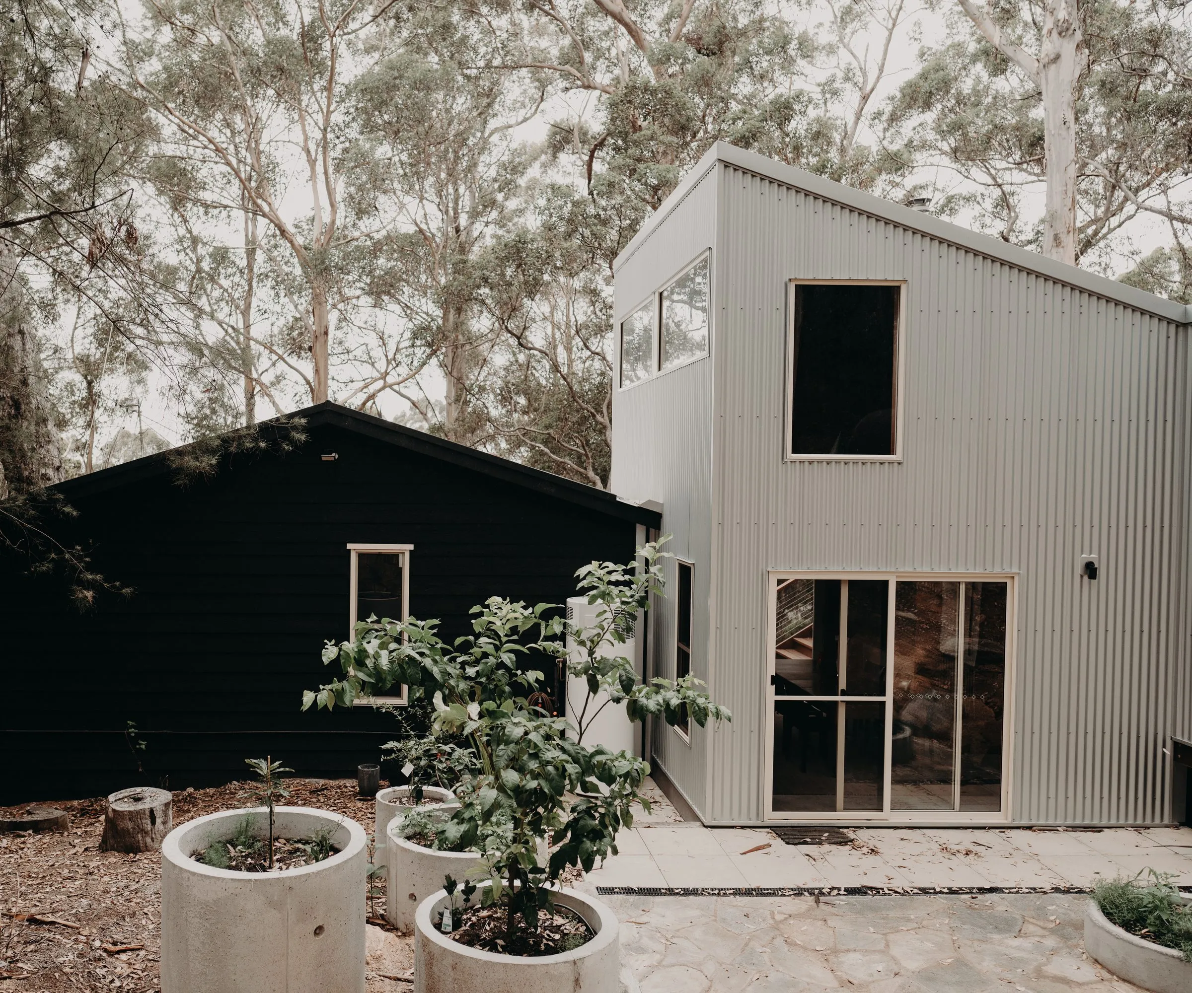 Original black cottage beside its award-winning pavilion extension in Denmark, WA
