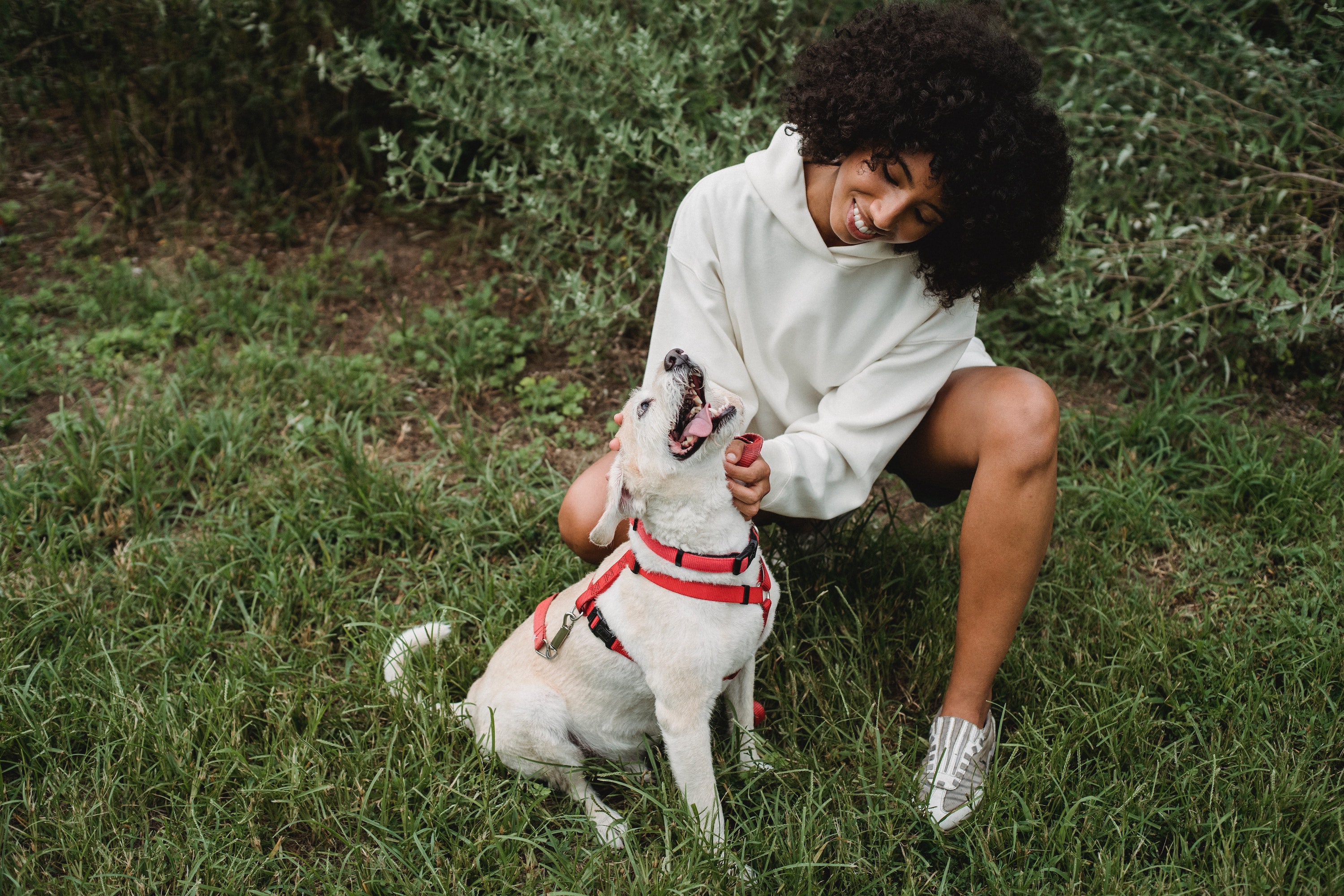 Girl with dog outside stock image