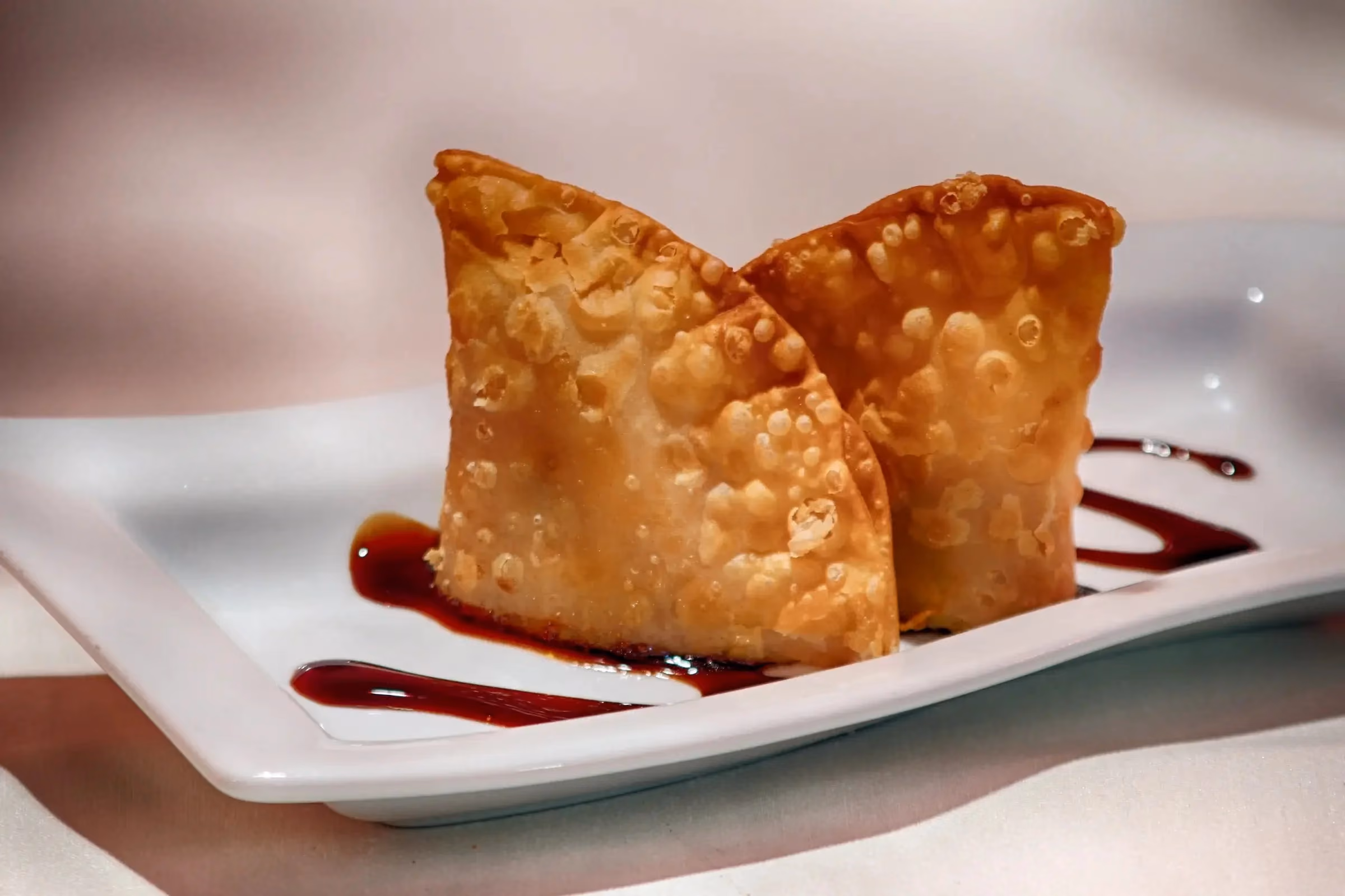 Two crispy fried wontons standing upright on a white rectangular plate, drizzled with dark sauce underneath.