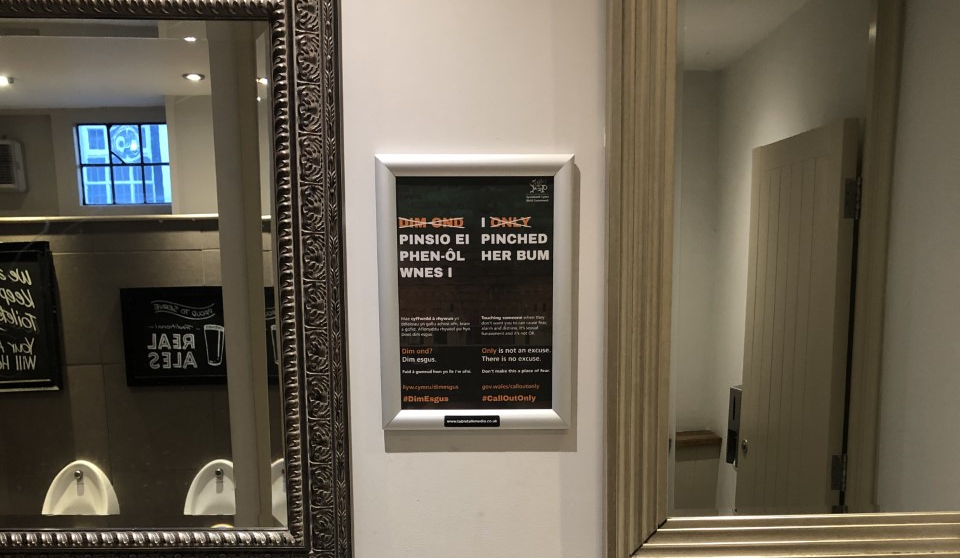 Bilingual Welsh Government Call Out Only poster reading 'I pinched her bum' framed on a wall in a pub men's toilet