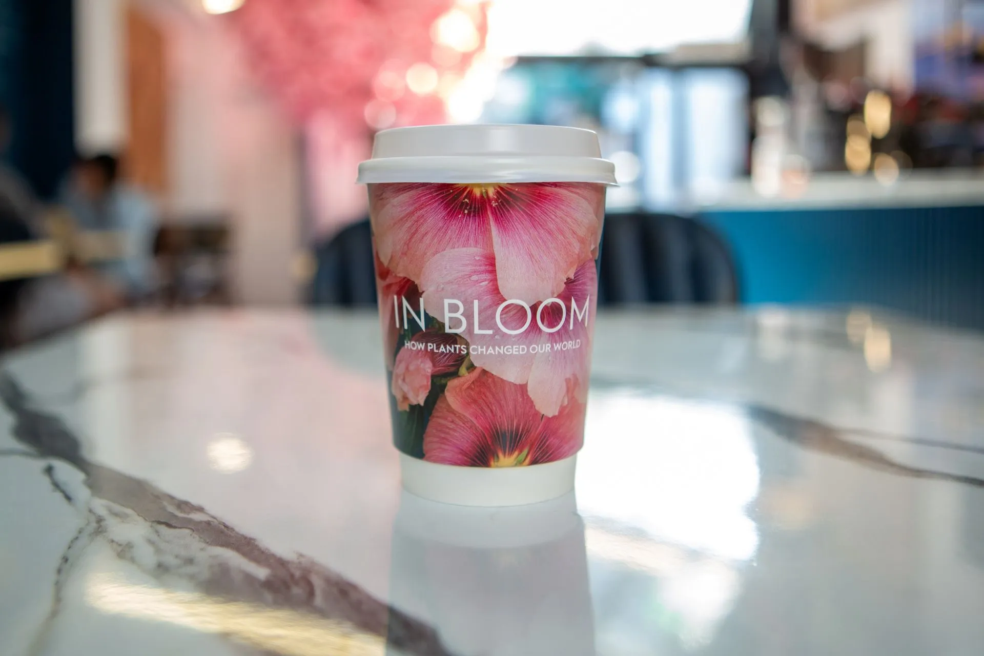Ashmolean In Bloom: How Plants Changed Our World takeaway coffee cup on a marble café table