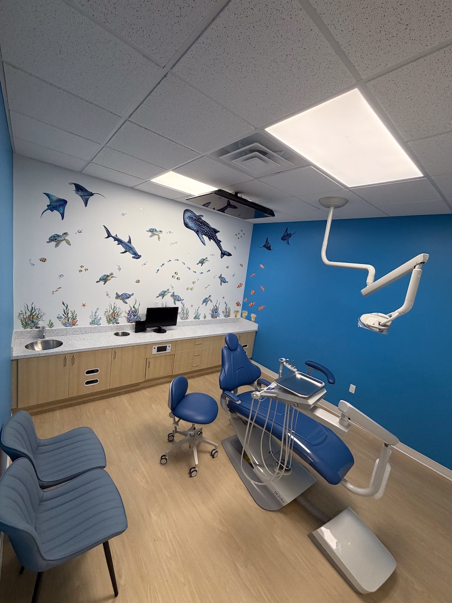 Emergency Pediatric Dentist in West Hempstead - Pediatric dental treatment room |Emergency Pediatric Dentist in West Hempstead