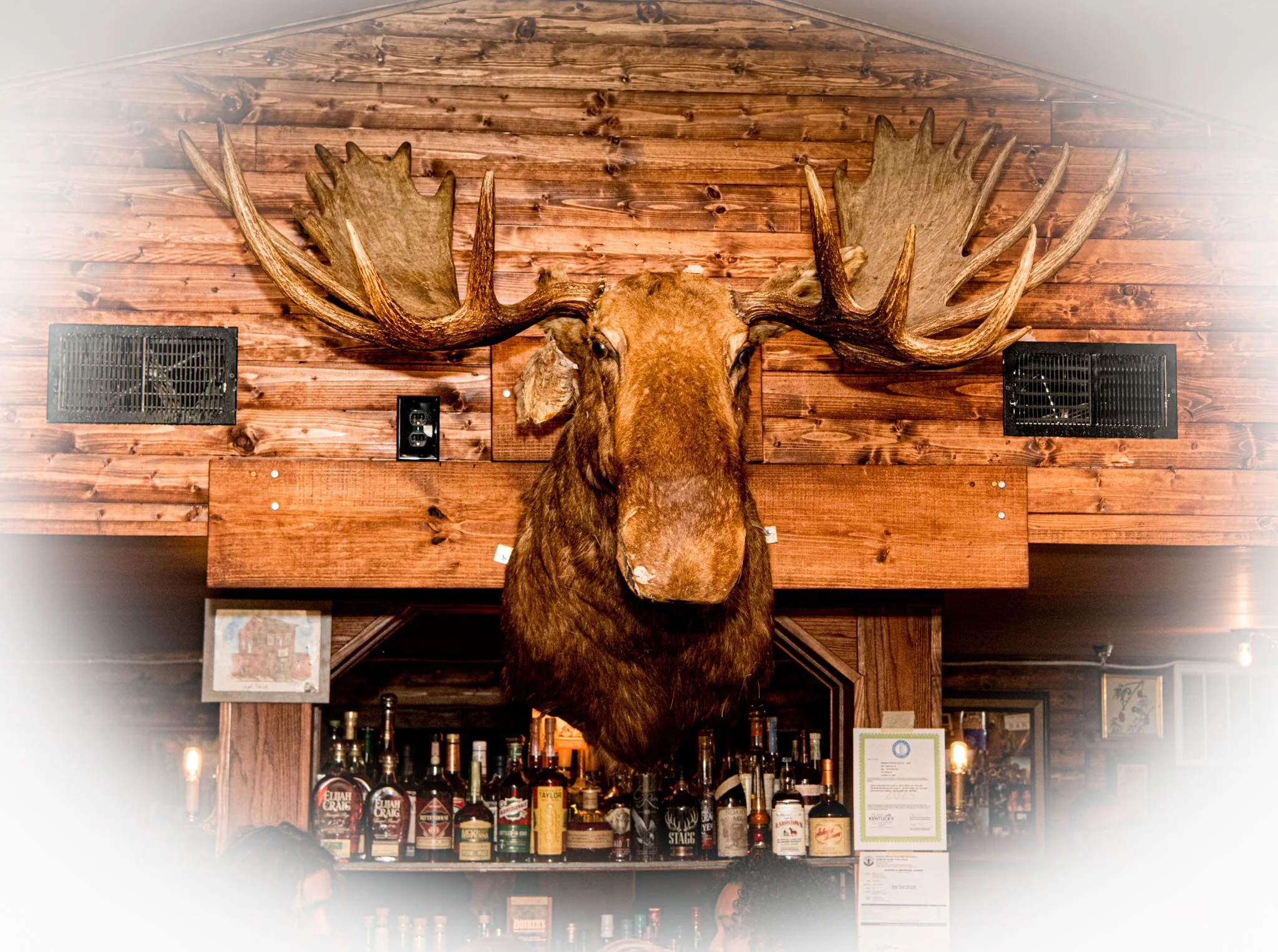 High Horse Bar in NuLu, Louisville – interior