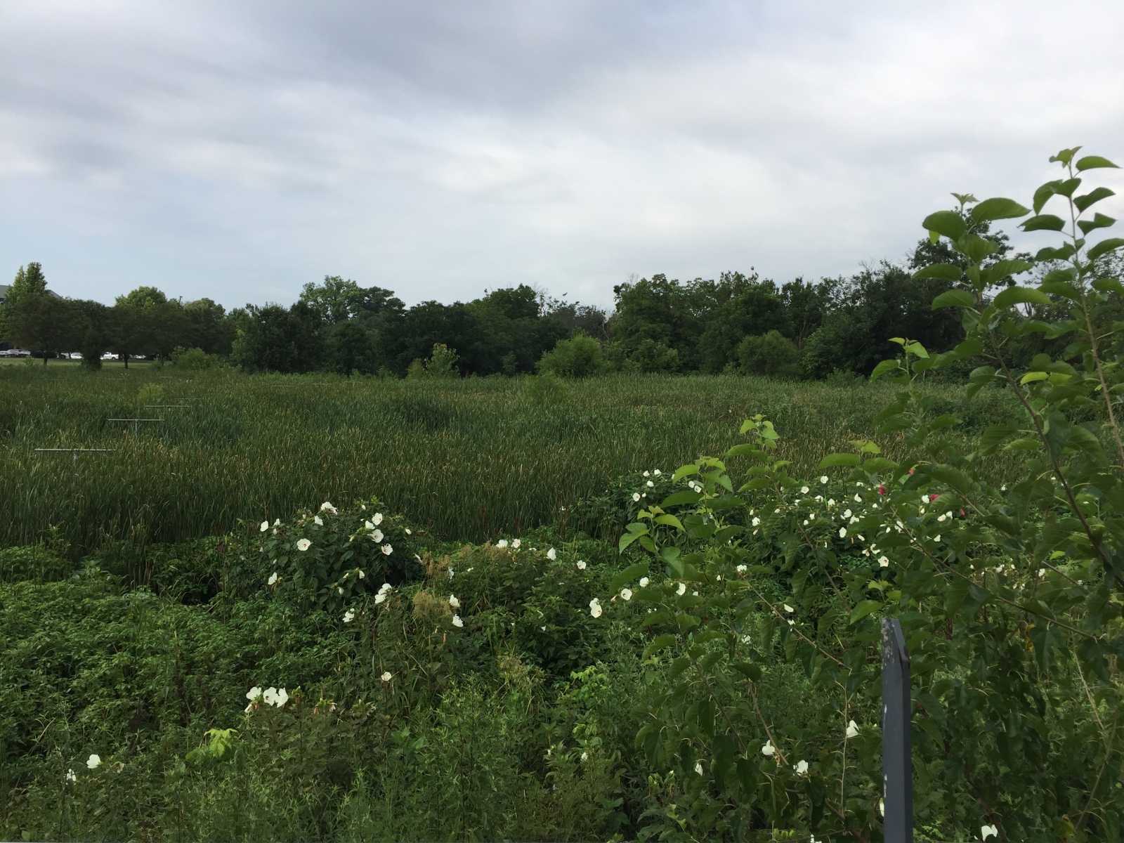 Arthur K. Draut Park