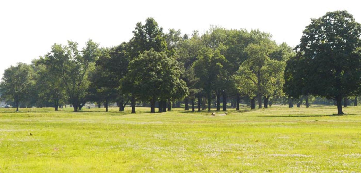 Louisville Champions Park