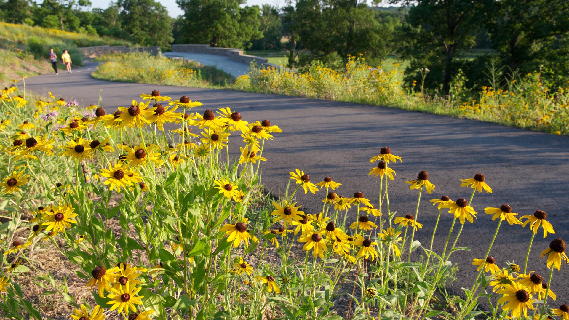 Pope Lick Park