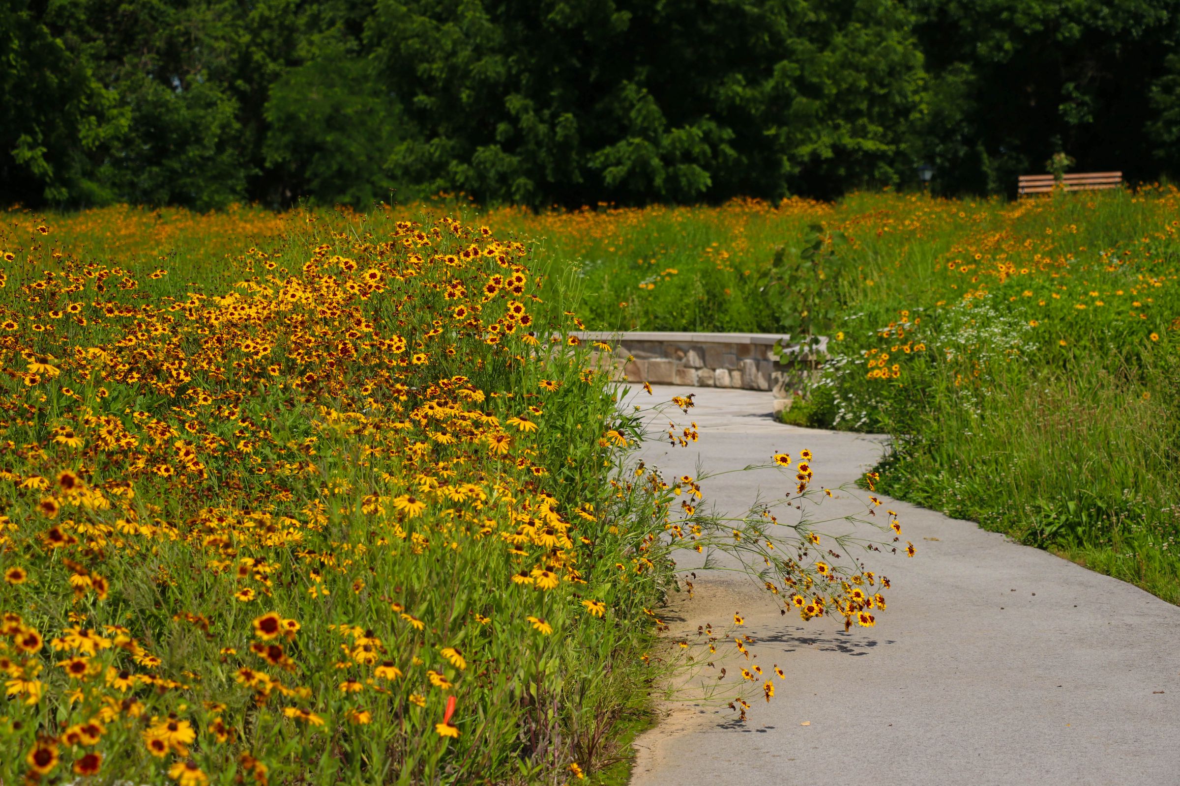 Seneca Park