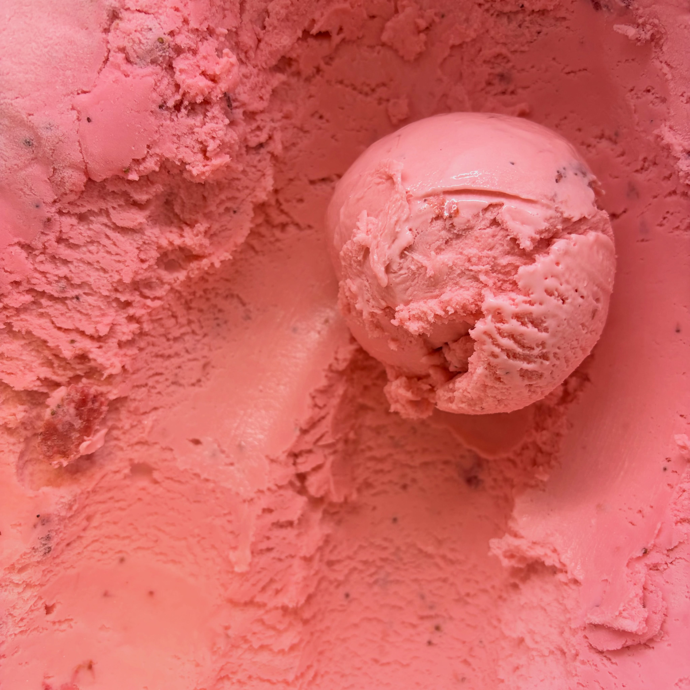 Parachute Ice Cream and Hotdog in The Highlands, Louisville – food