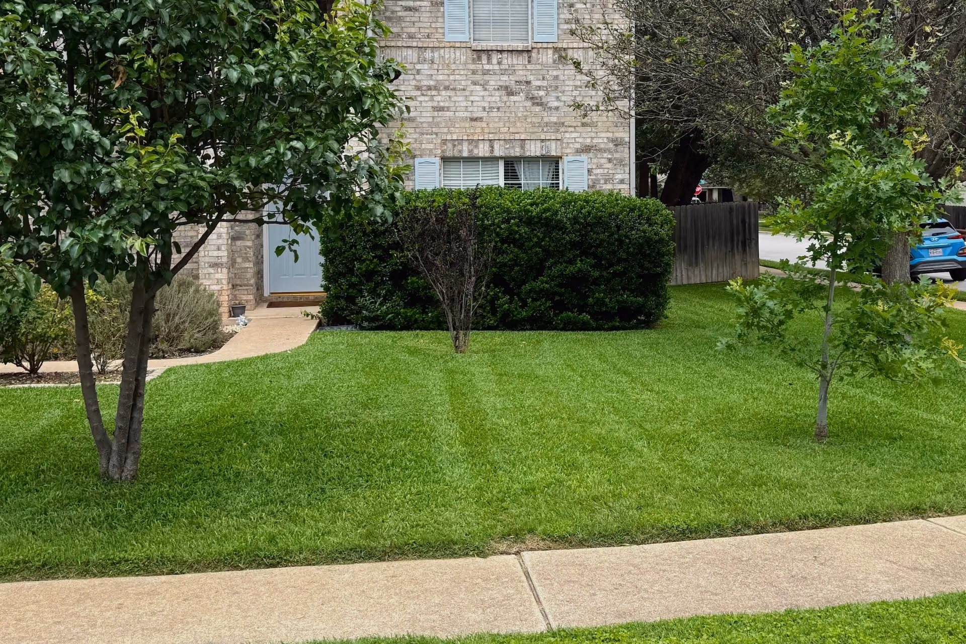 Professional turf care program near me for healthier lawns in Leander, Texas  
