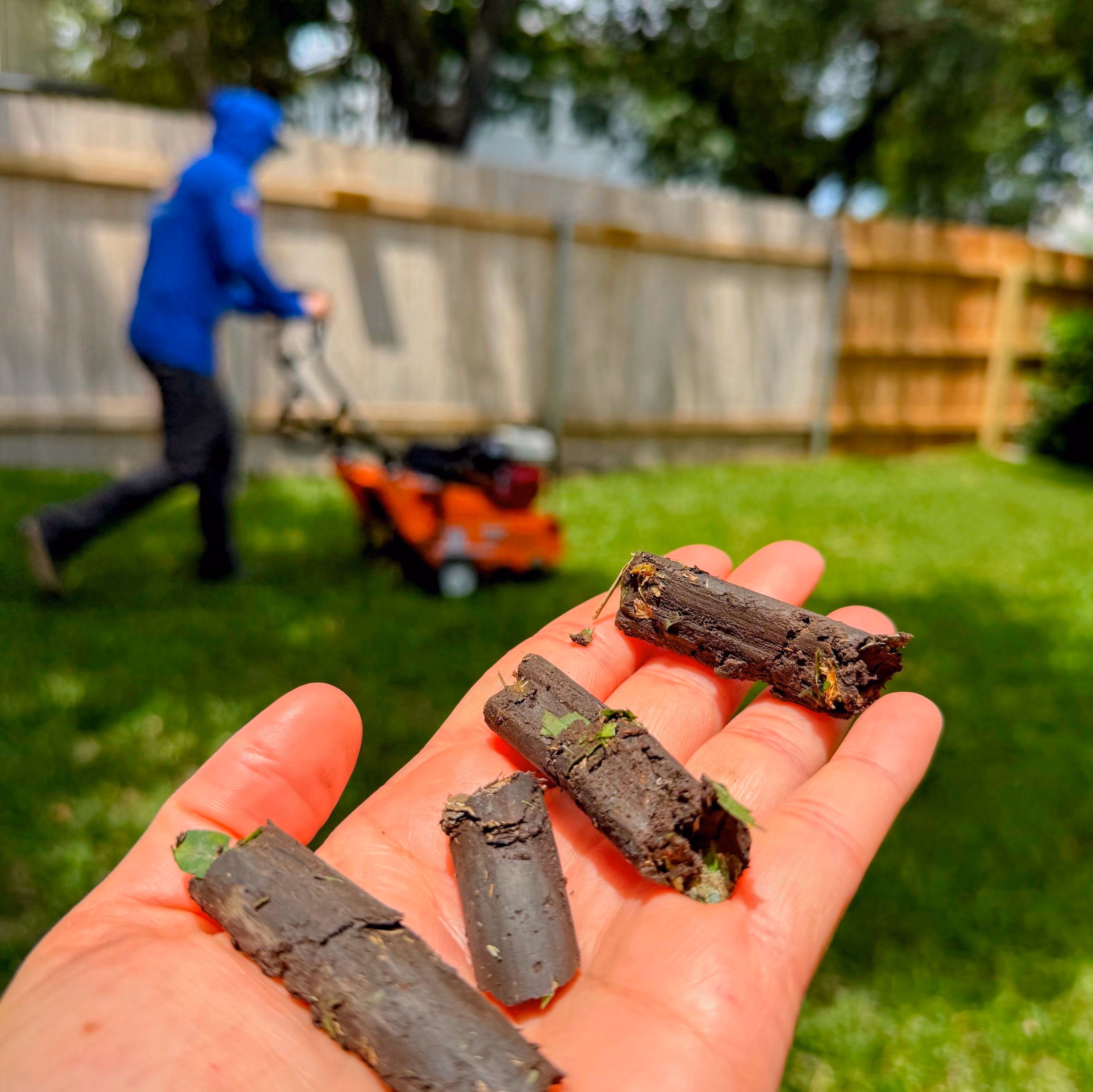 Professional lawn aeration near me for improved turf growth in Cedar Park, Texas  
