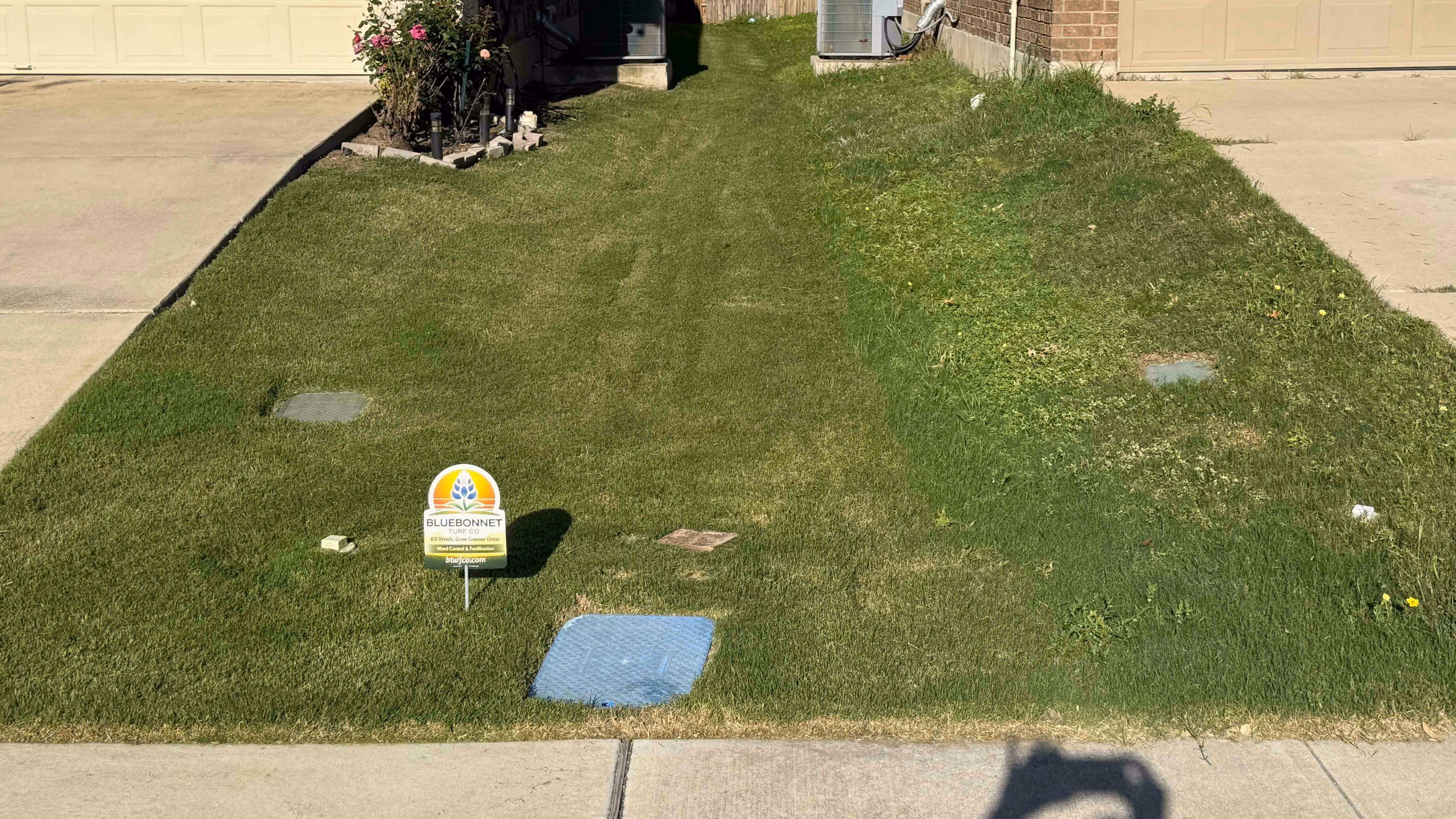 Bluebonnet Turf Co. professional weed control for healthier lawns in Cedar Park, Texas