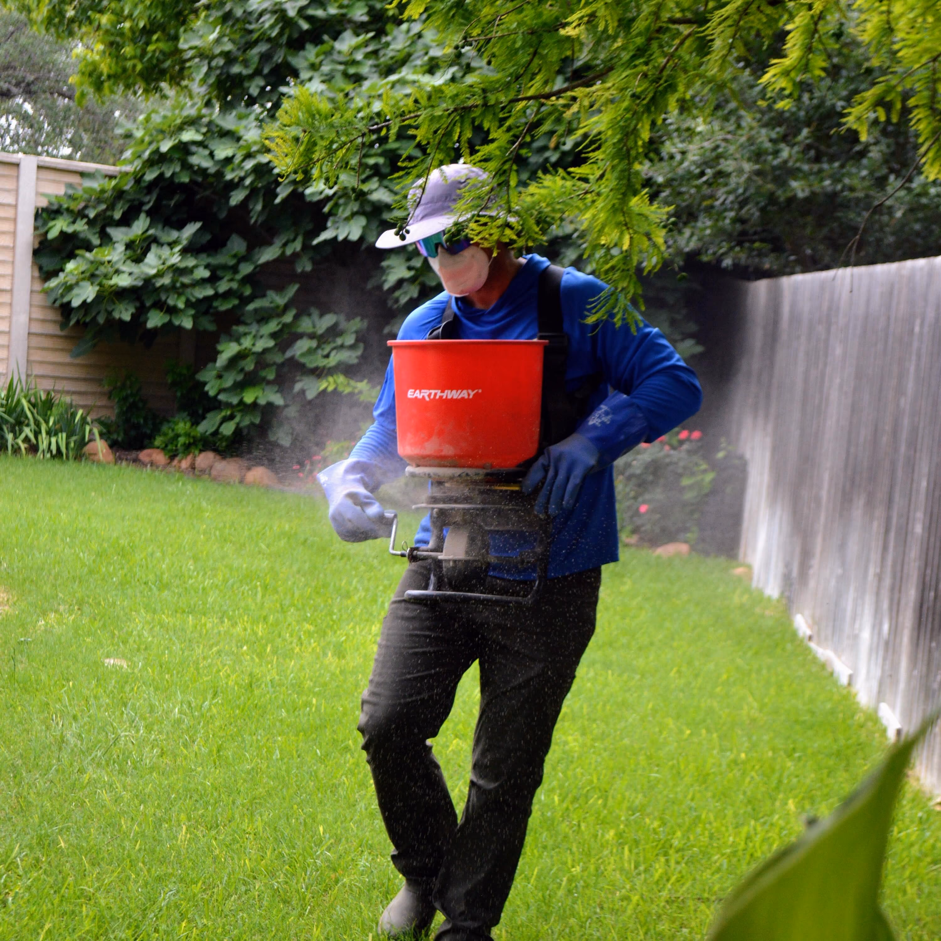 Professional turf fertilization near me for healthy Texas lawns