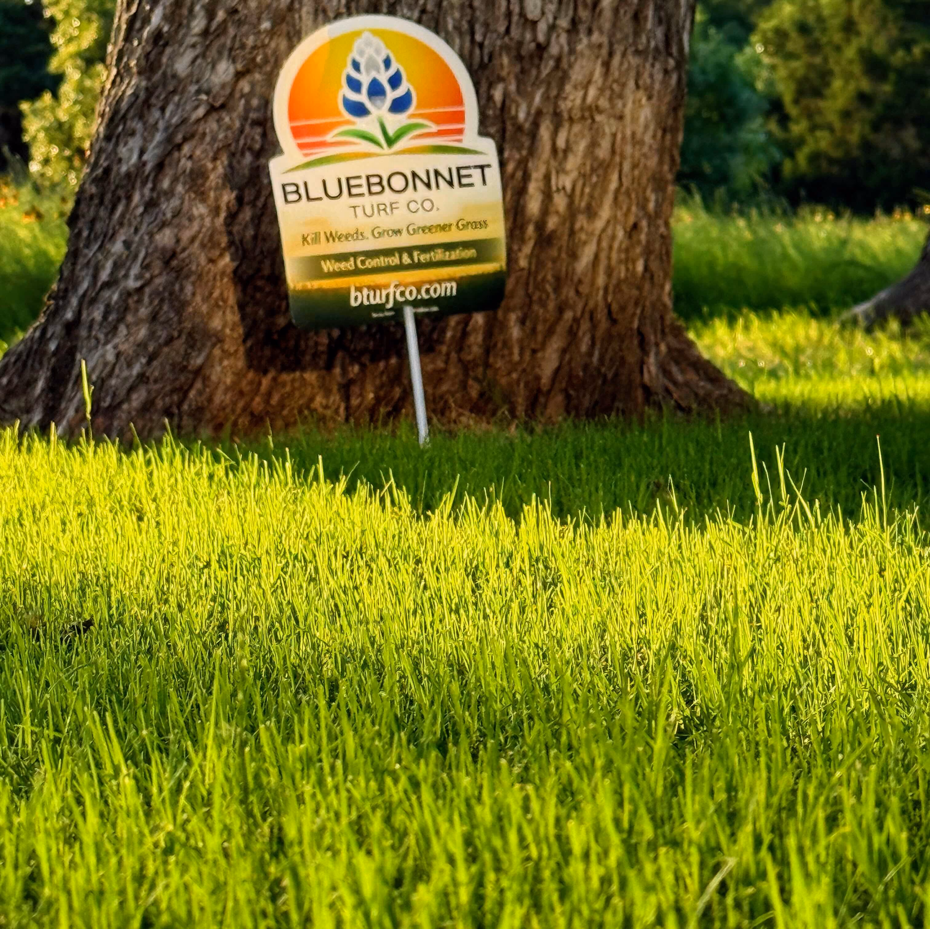 Professional lawn fertilizer application near me for thick green grass