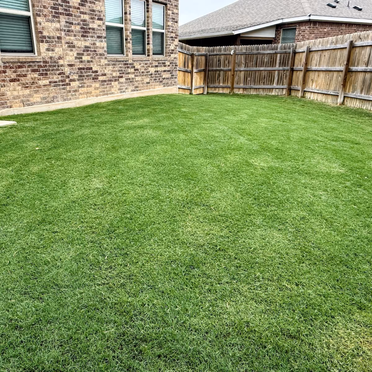 Seasonal lawn fertilization for stronger healthier turf in Liberty Hill, Texas  
