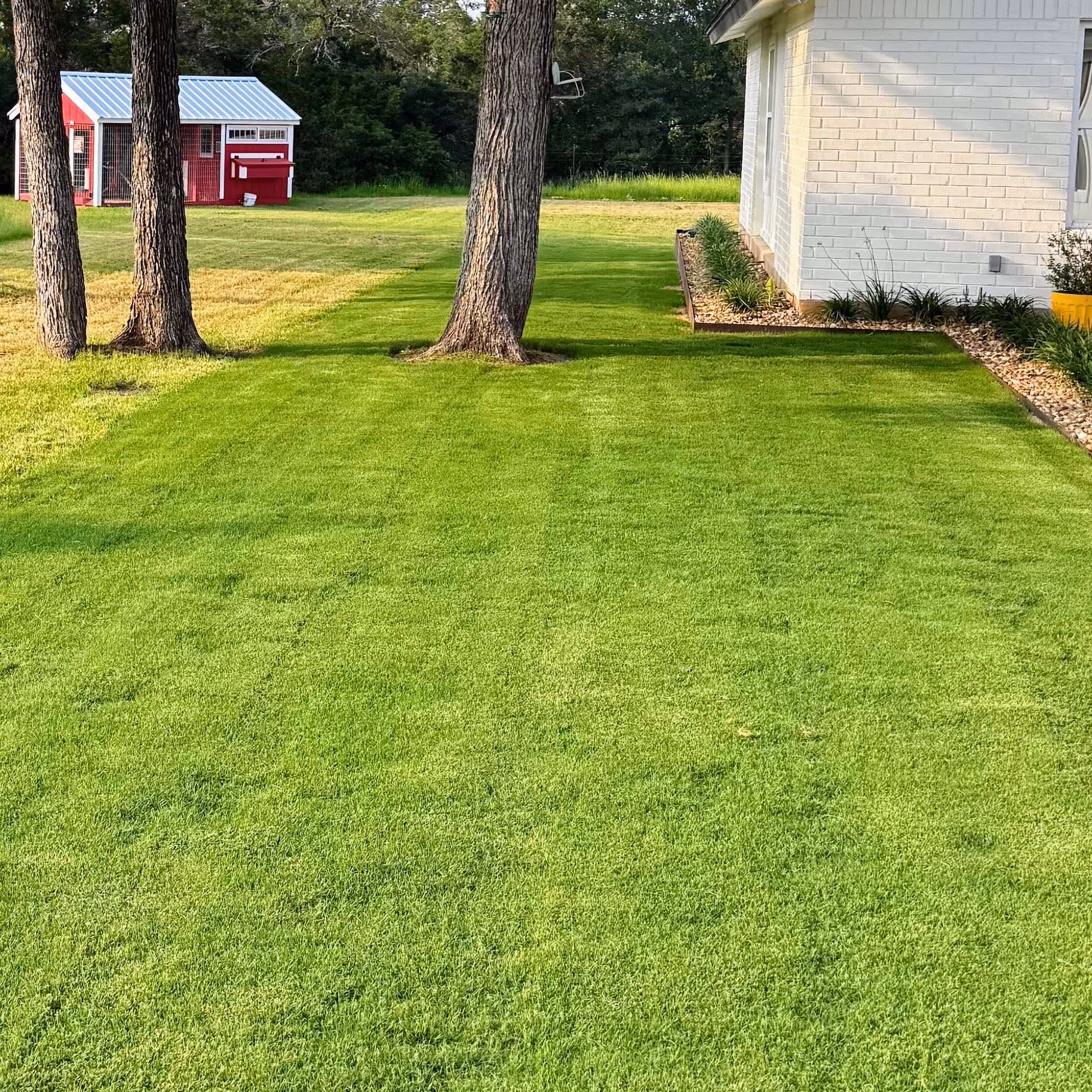 Professional lawn fertilizer treatment for healthy green turf in Cedar Park, Texas
