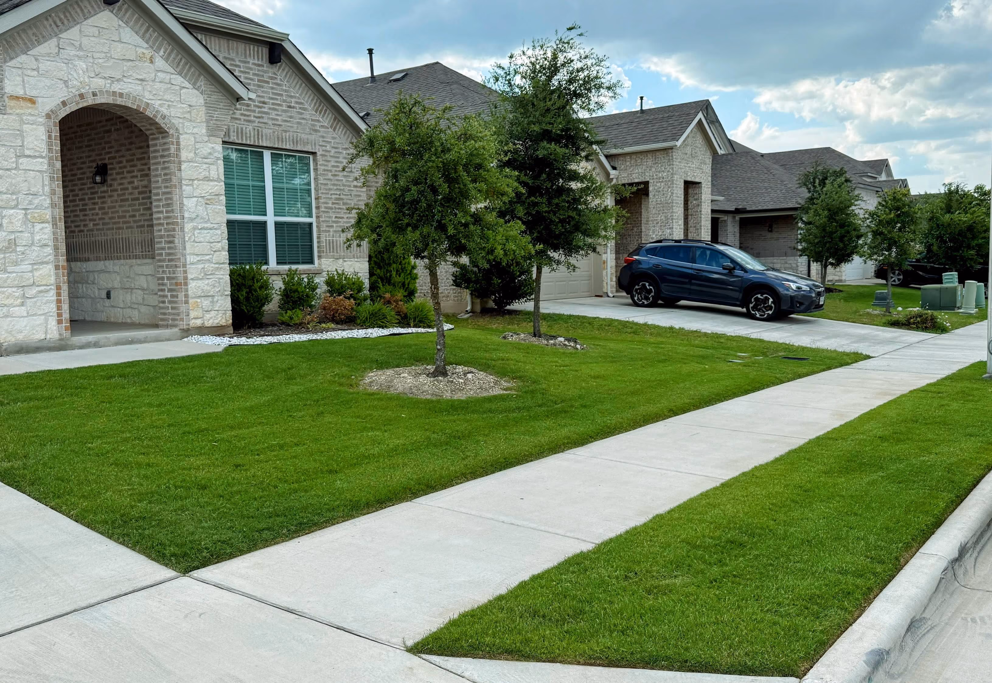 Professional weed control for healthier lawns in Cedar Park, Texas
