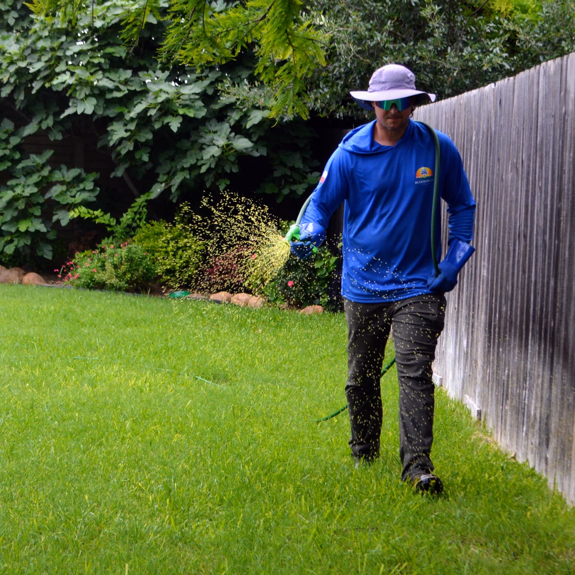 Bluebonnet Turf Co. professional weed control near me in Cedar Park, Texas