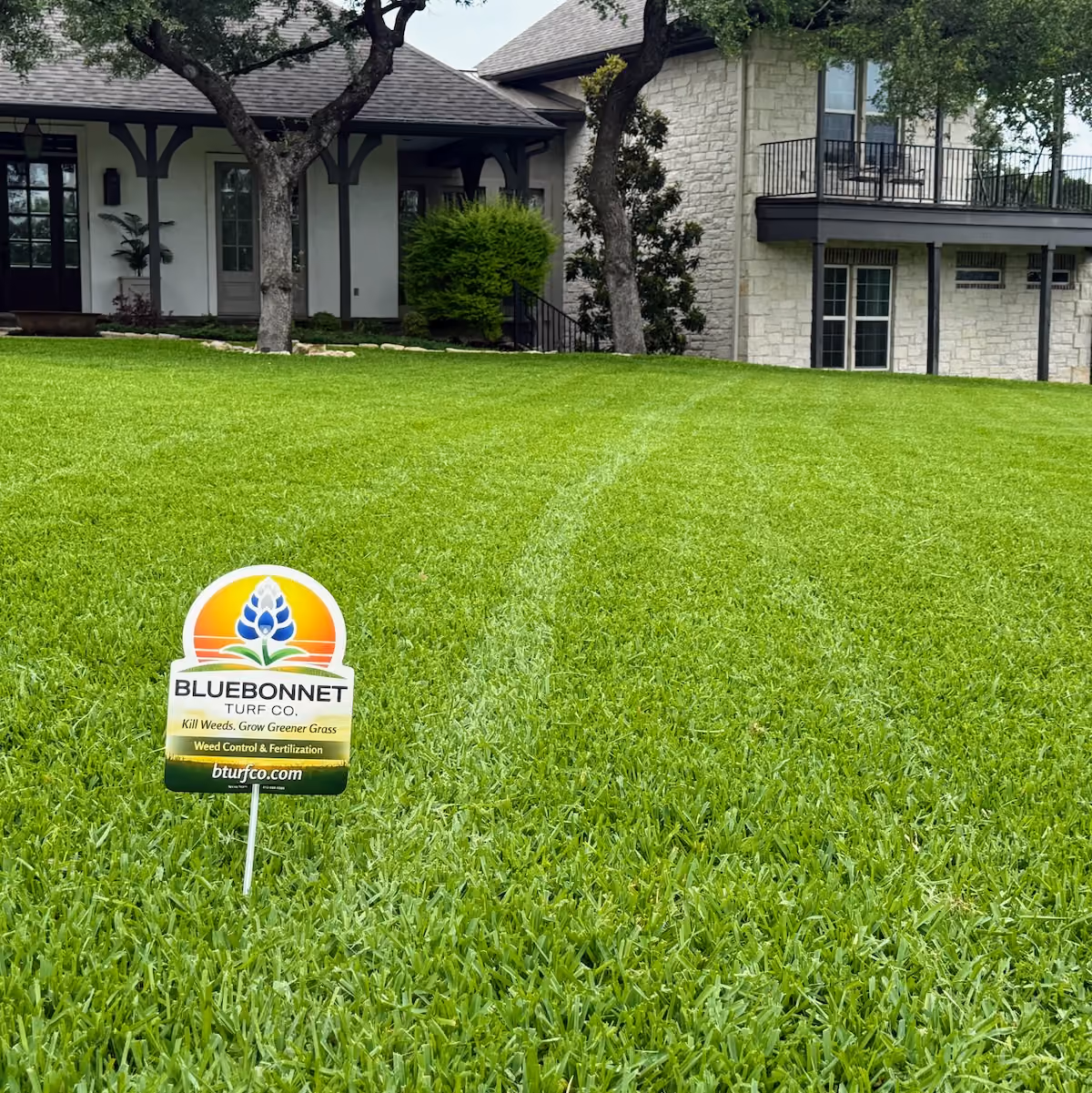 Lawn fertilizer treatment for thicker greener healthy Texas grass