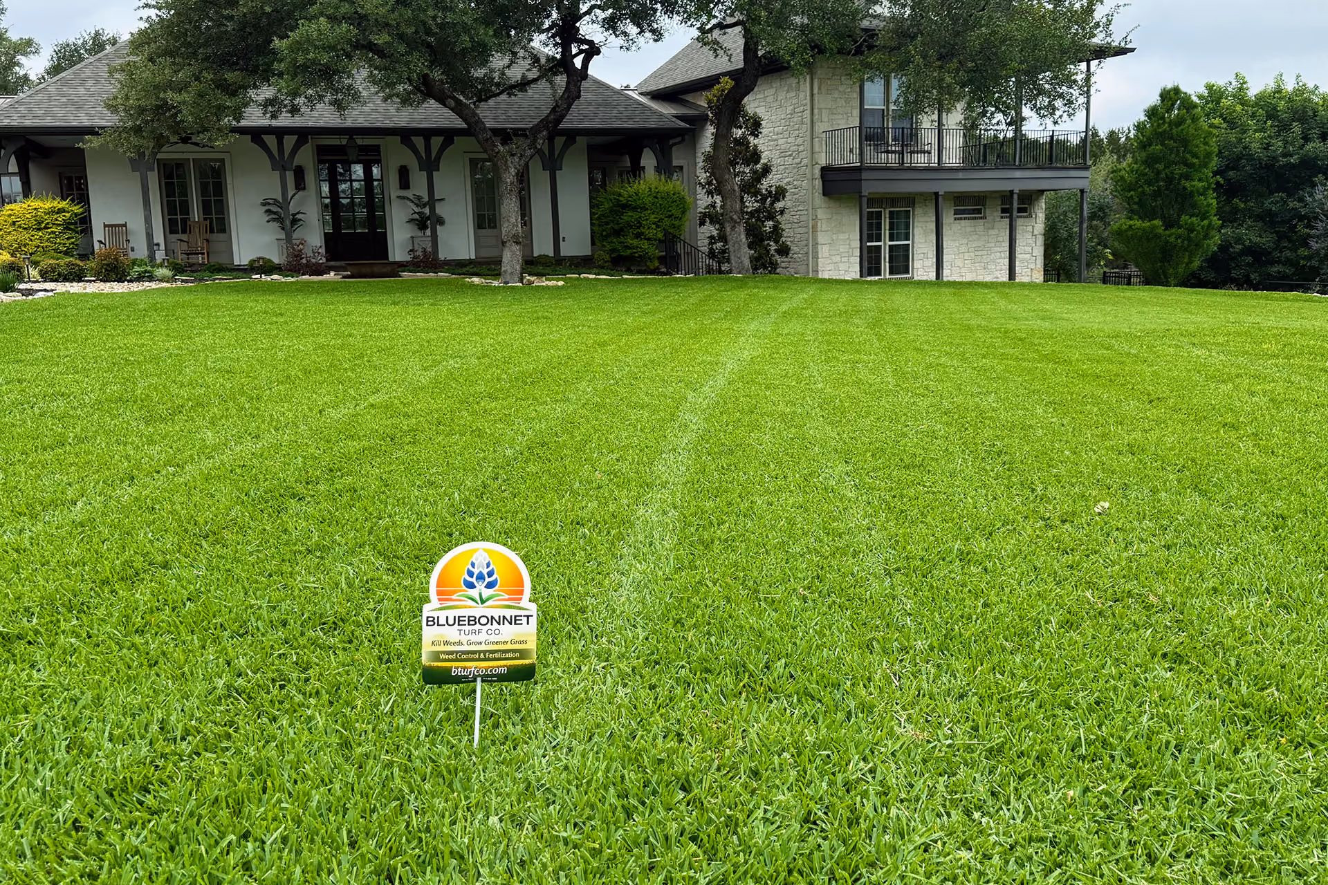 Professional lawn treatment and turf care in Liberty Hill, Texas