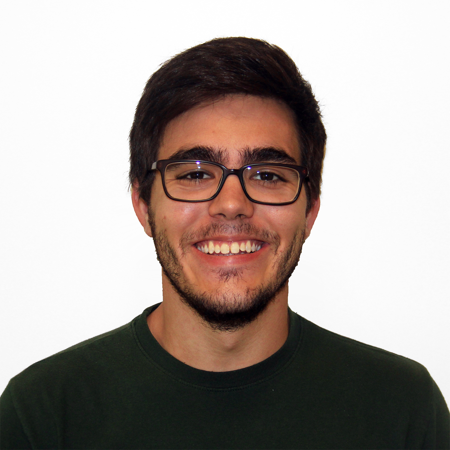 Henrique Salvaro Furtado