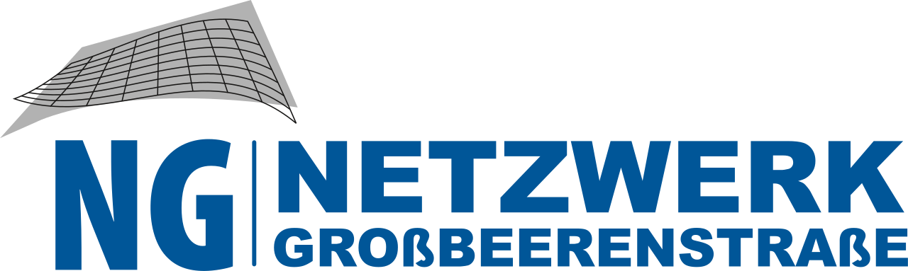 Netzwerk Großbeerenstraße