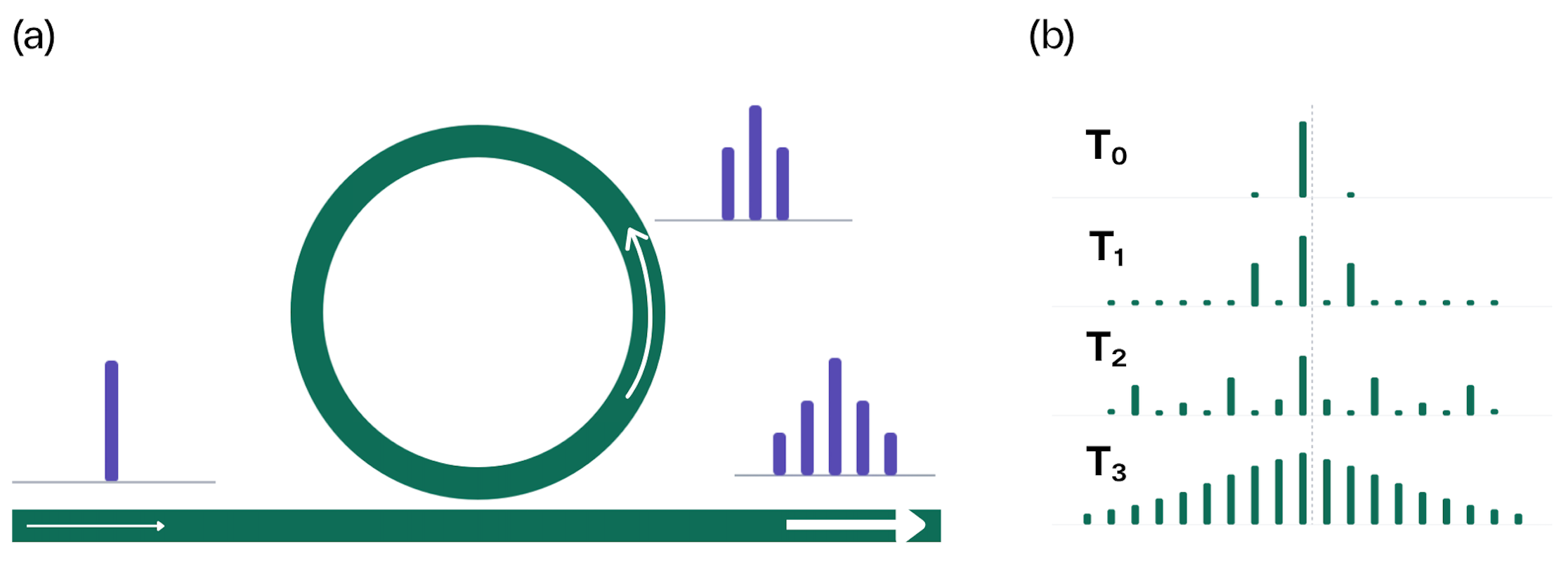Kerr comb and time evolution_0