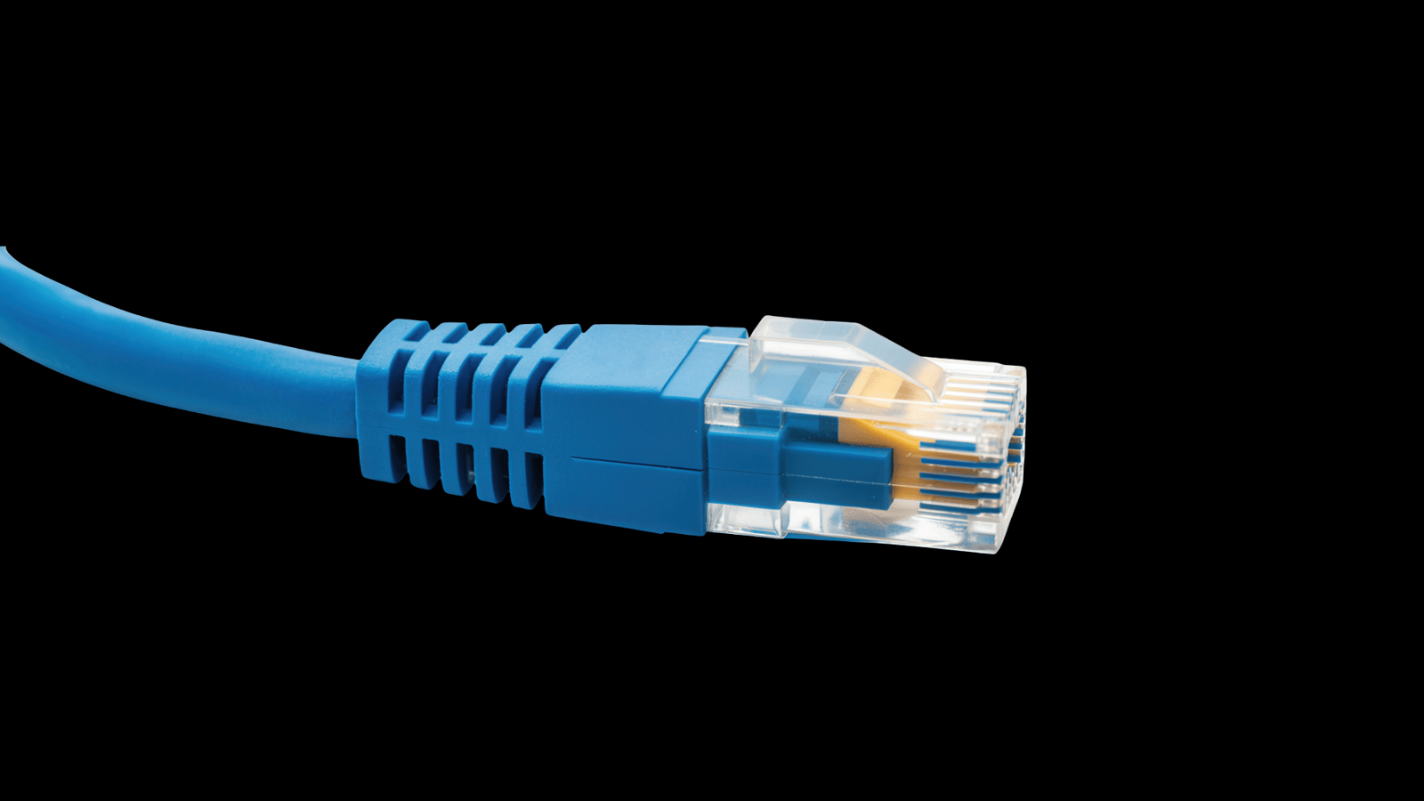 Cabo de rede azul conectado a um conector RJ-45 sobre fundo preto, representando a infraestrutura de backbone e conectividade da EVEO.