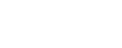 Air New Zealand logo with stylized koru symbol above the text.