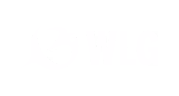 Logo with a stopwatch icon followed by the word WIG in bold uppercase letters.