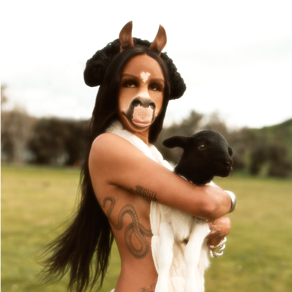 HorsegiirL