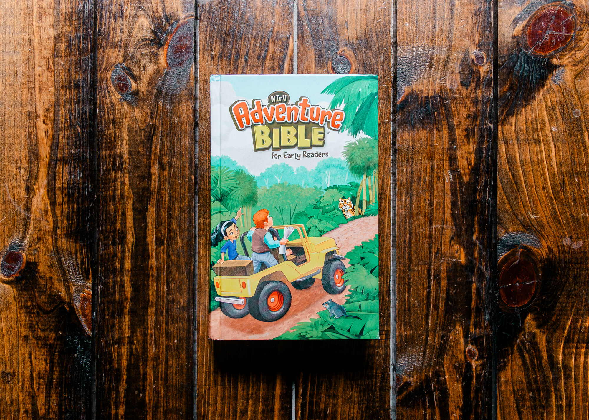 Adventure Bible for Early Readers