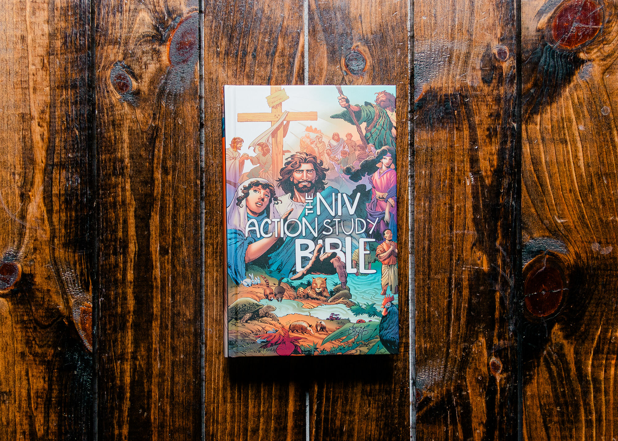 The NIV Action Study Bible