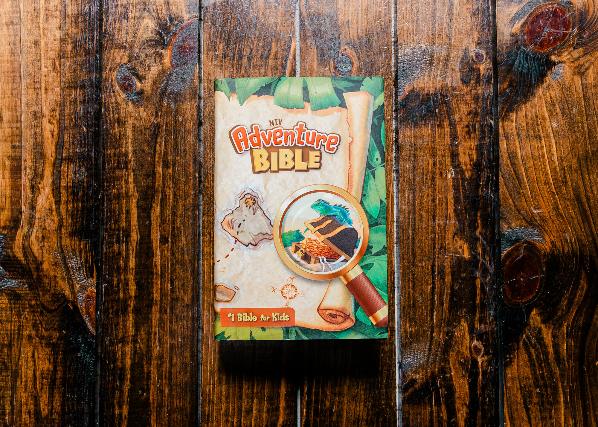 NIV Adventure Bible